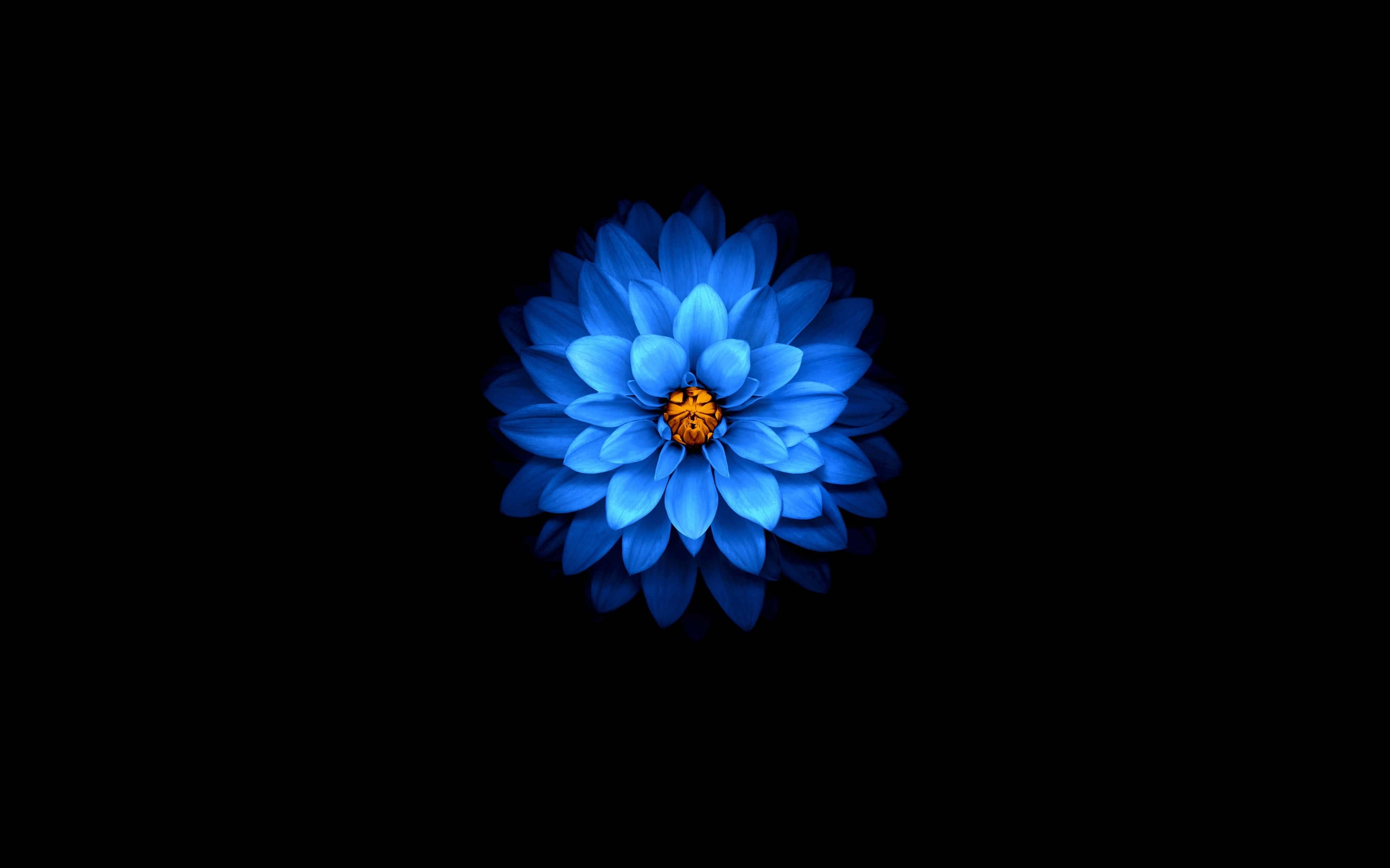 Amoled pictures — 3840x2400 wallpaper