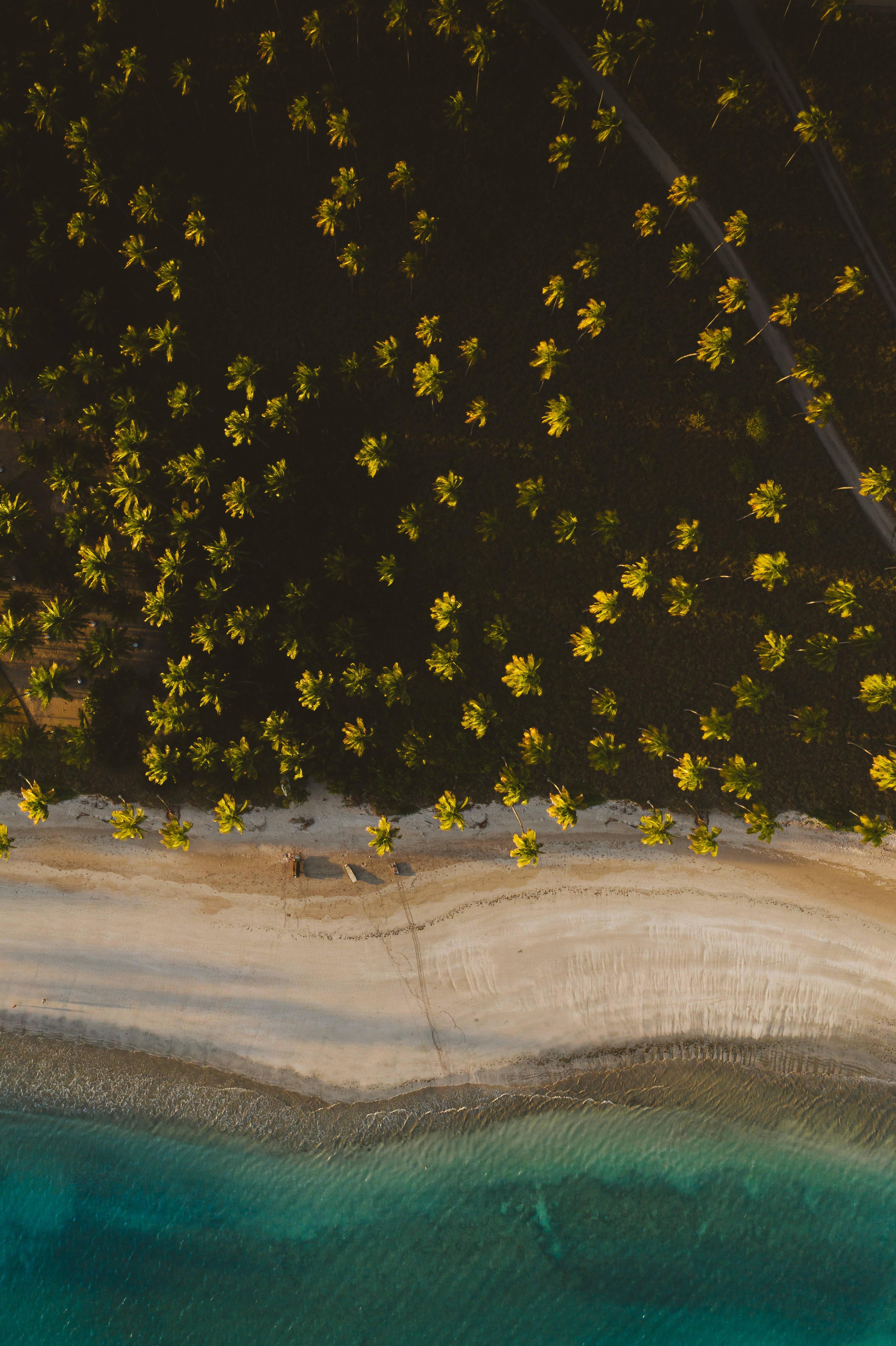 An aerial view of a beautiful beach — 3451x5180 wallpaper