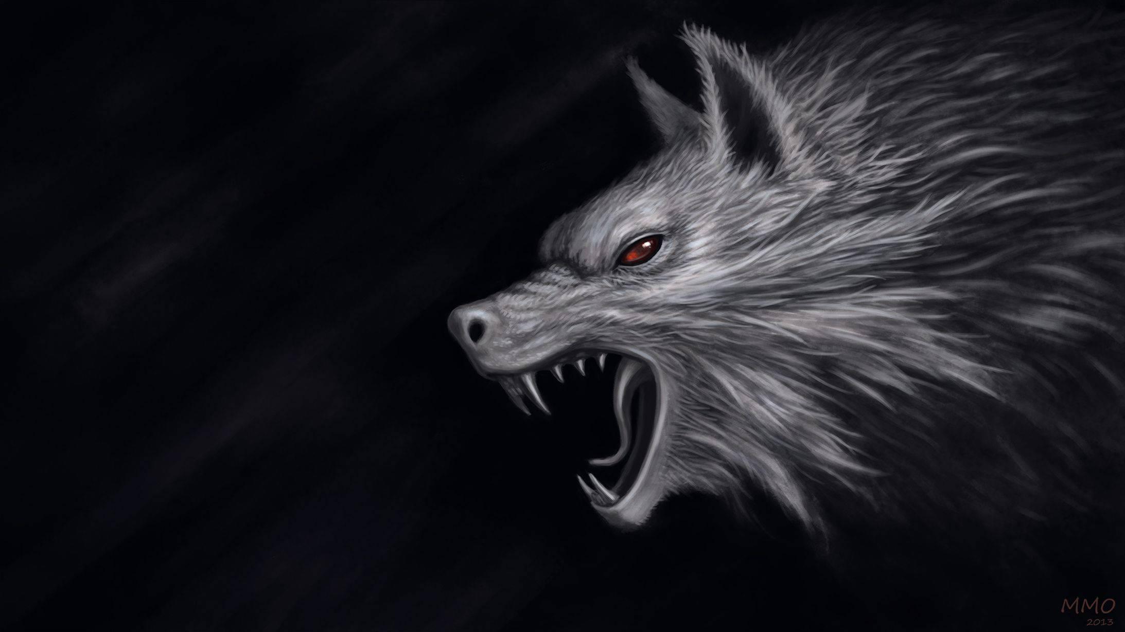 An Angry Gray Wolf Protects Its Territory — 2186x1229 wallpaper
