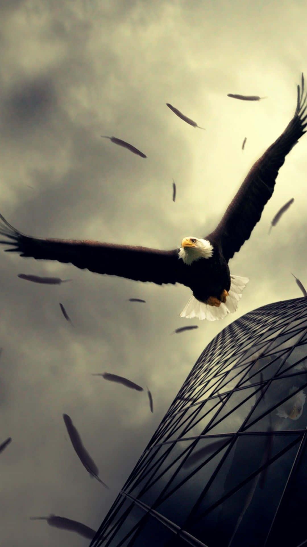 An Eagle Spreads Its Wings Across an IPhone's Screen — 1080x1920 wallpaper