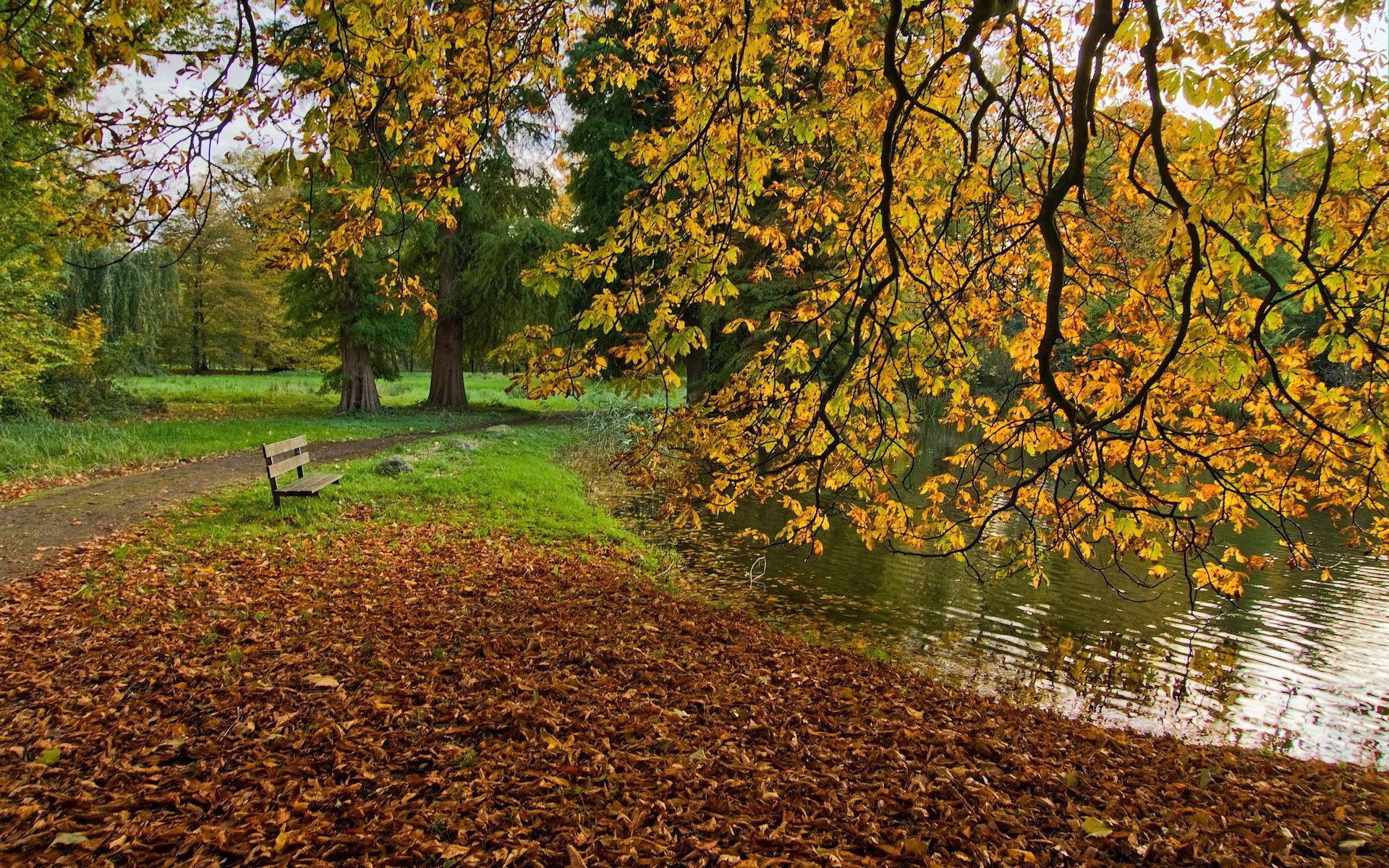 An enchanting autumnal pond surrounded by hued trees — 1920x1200 wallpaper