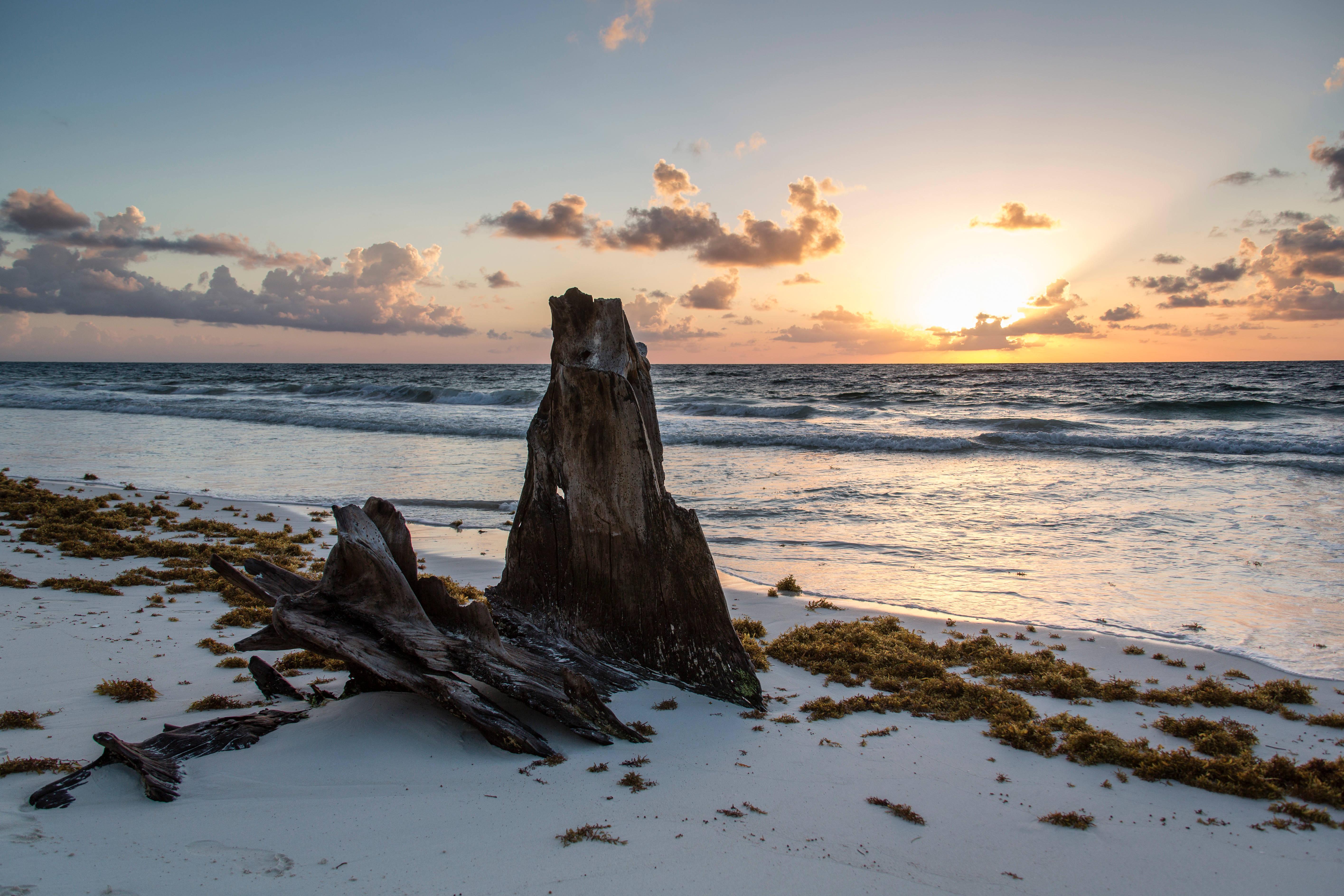 An Unusual Sight at the Beach — 5662x3775 wallpaper