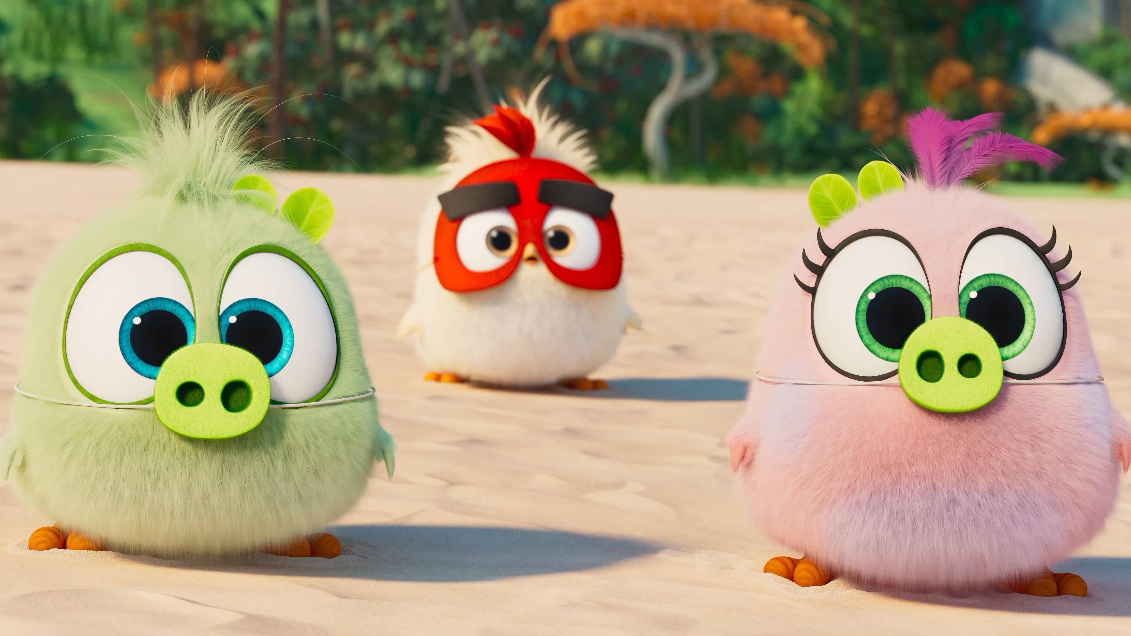 Angry Birds 4k Cartoon — 3840x2160 wallpaper
