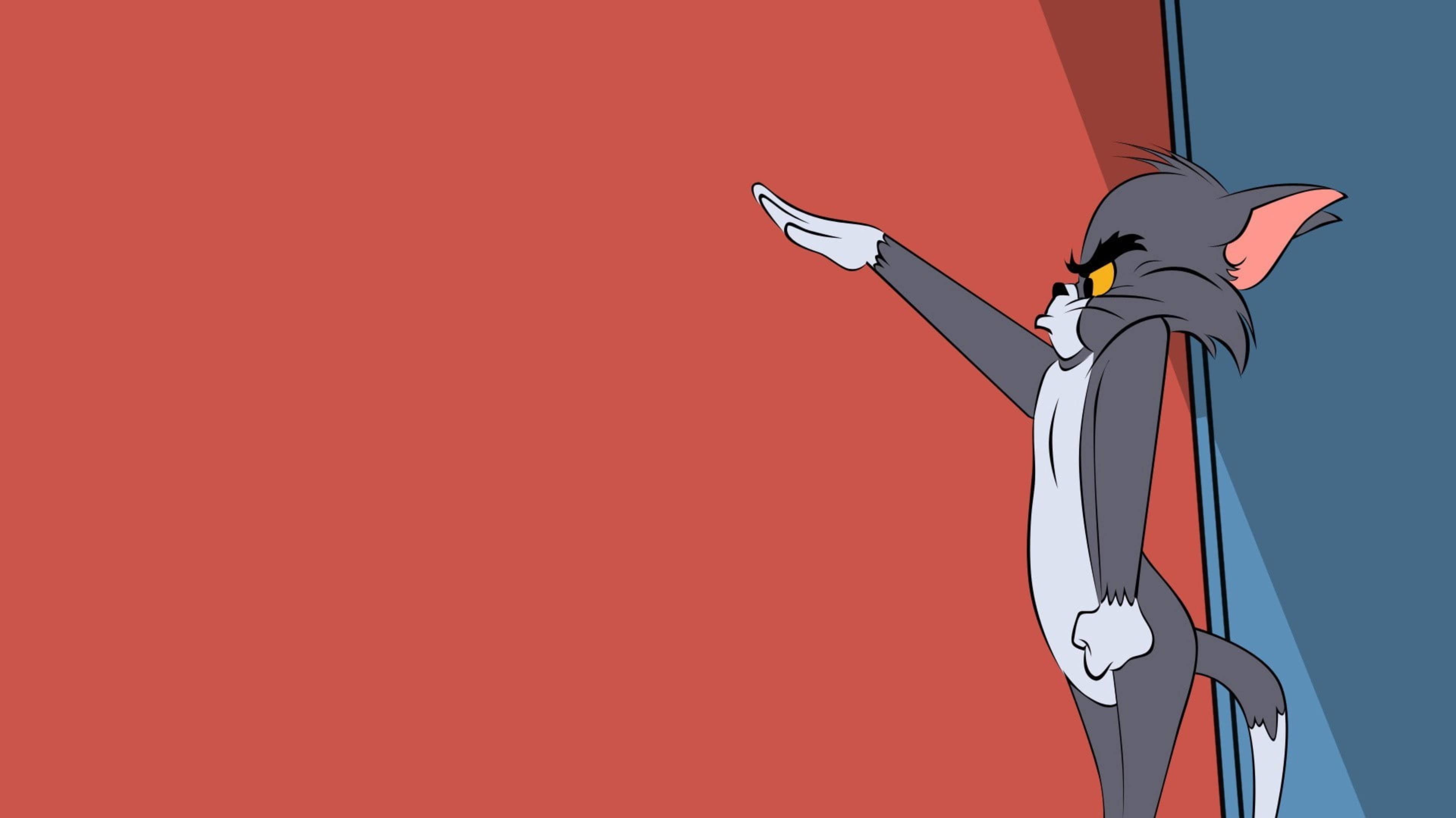 Animated Adventure Duo - Tom and Jerry — 3840x2160 wallpaper