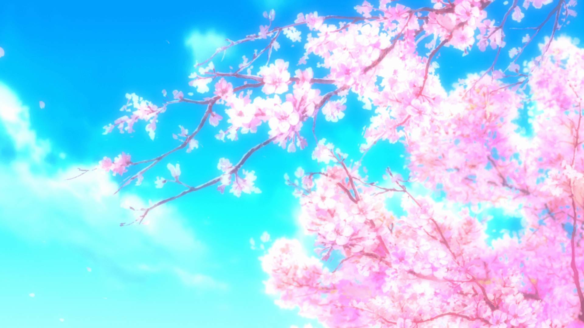 Anime Aesthetic Sakura Flowers — 1920x1080 wallpaper
