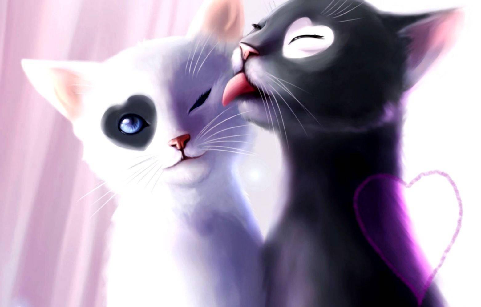 Anime Cats Cuddling Cute Laptop — 1562x997 wallpaper