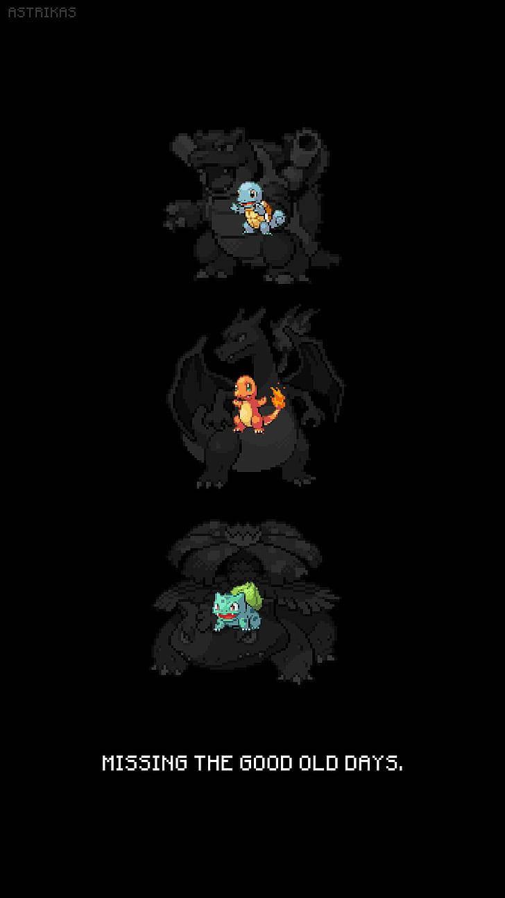 Ash Three Pokemon Iphone — 728x1294 wallpaper