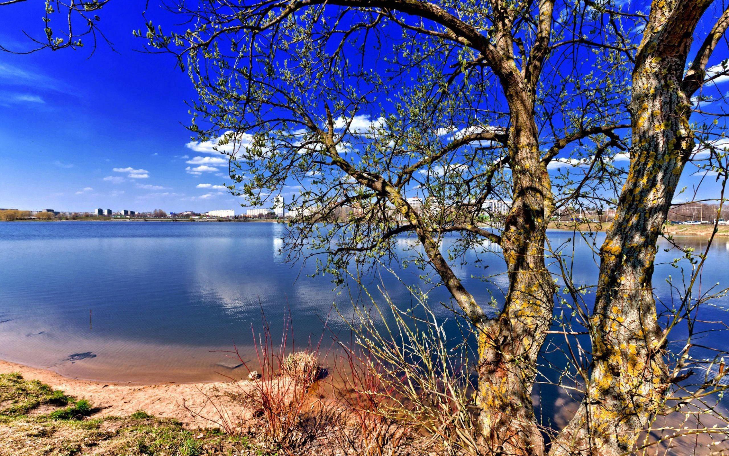 Attractive Lake Nature — 2560x1600 wallpaper
