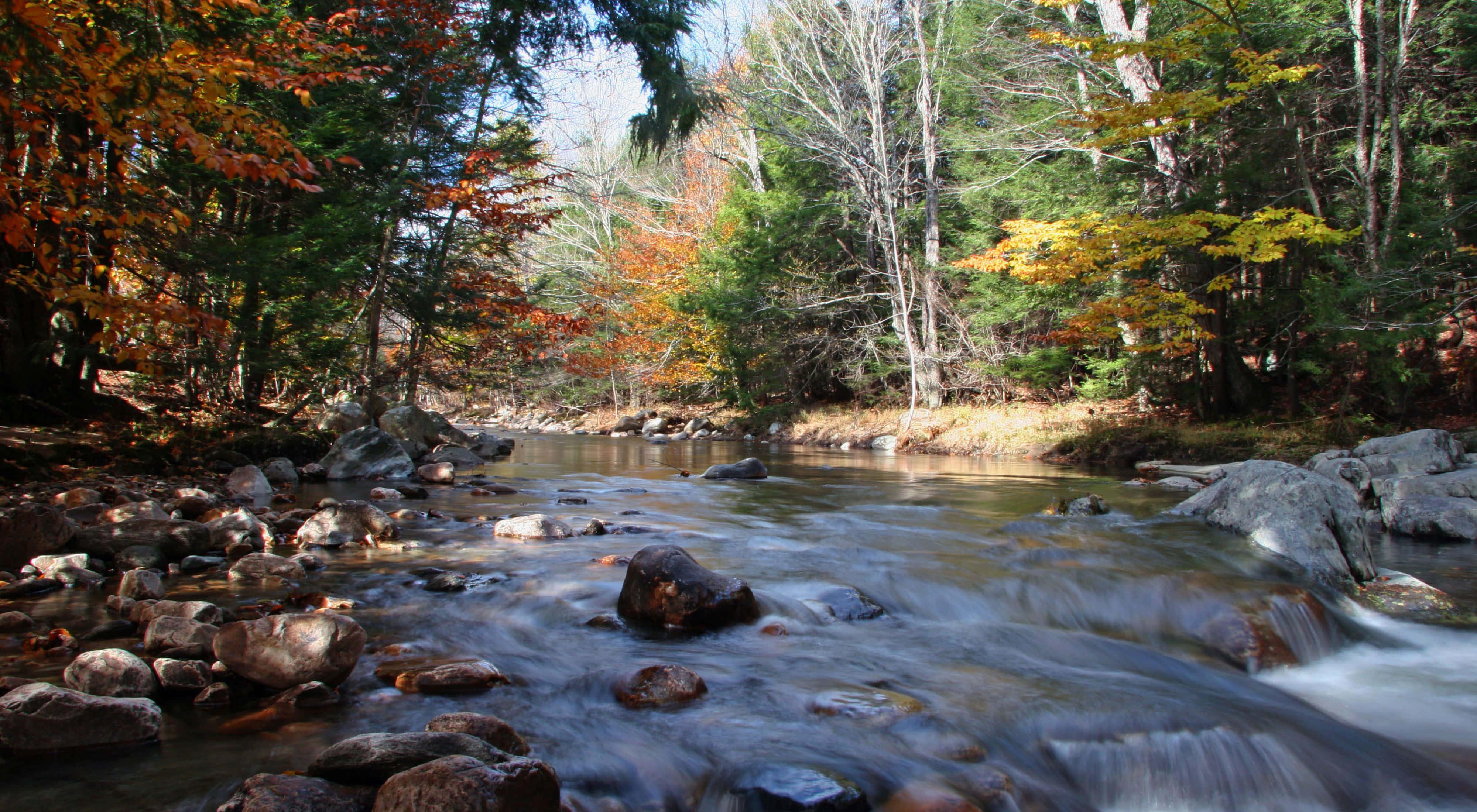 Autumn River Nature Picture — 4000x2200 wallpaper
