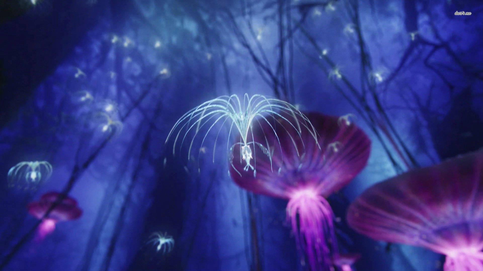 Avatar Pandora Creatures — 1920x1080 wallpaper