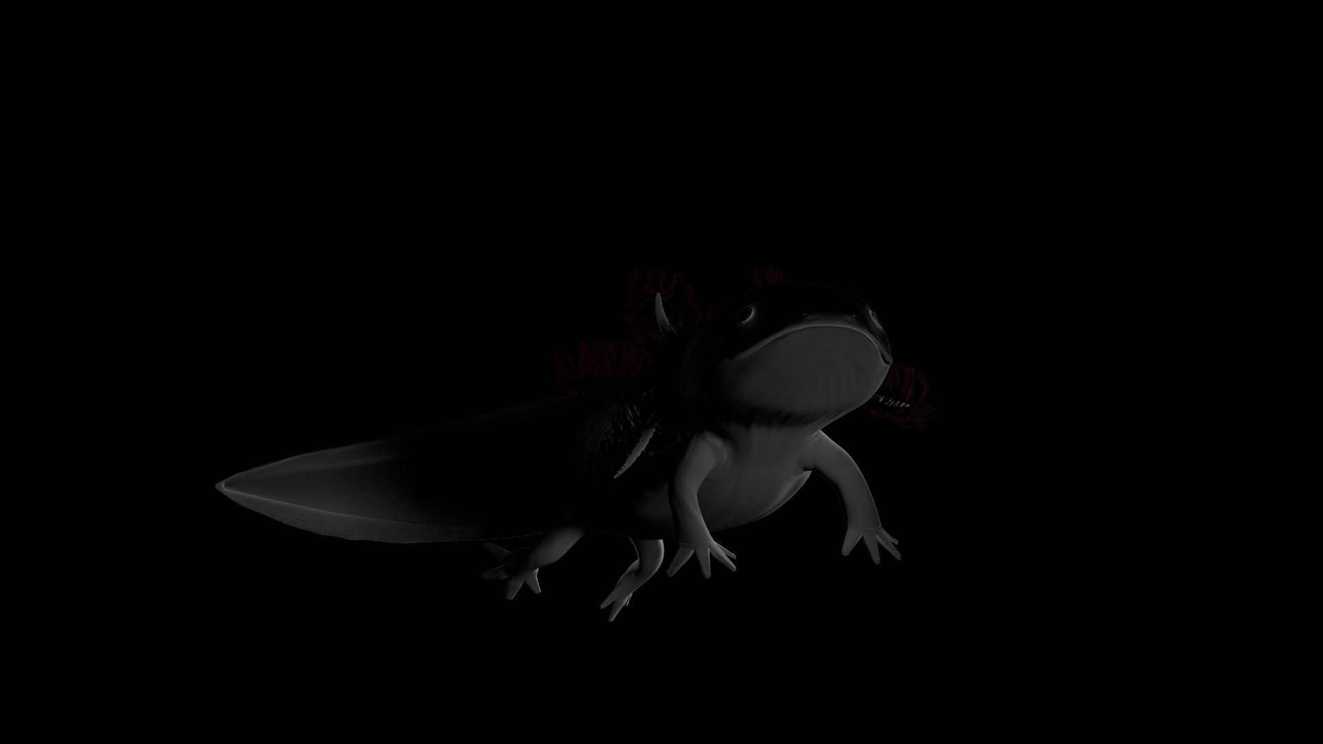 Axolotl In Black Aesthetic — 1920x1080 wallpaper