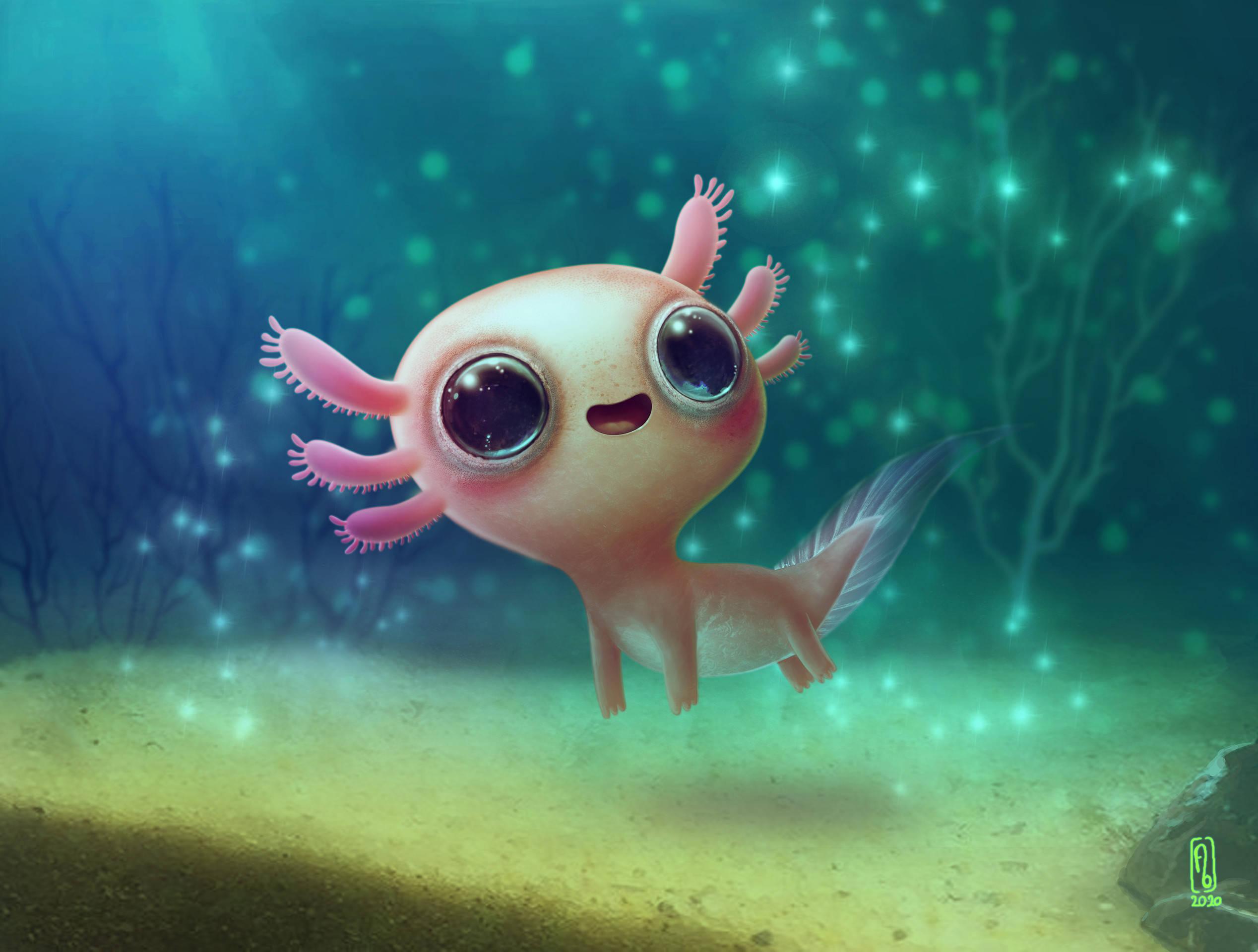 Baby Axolotl Underwater — 2536x1920 wallpaper