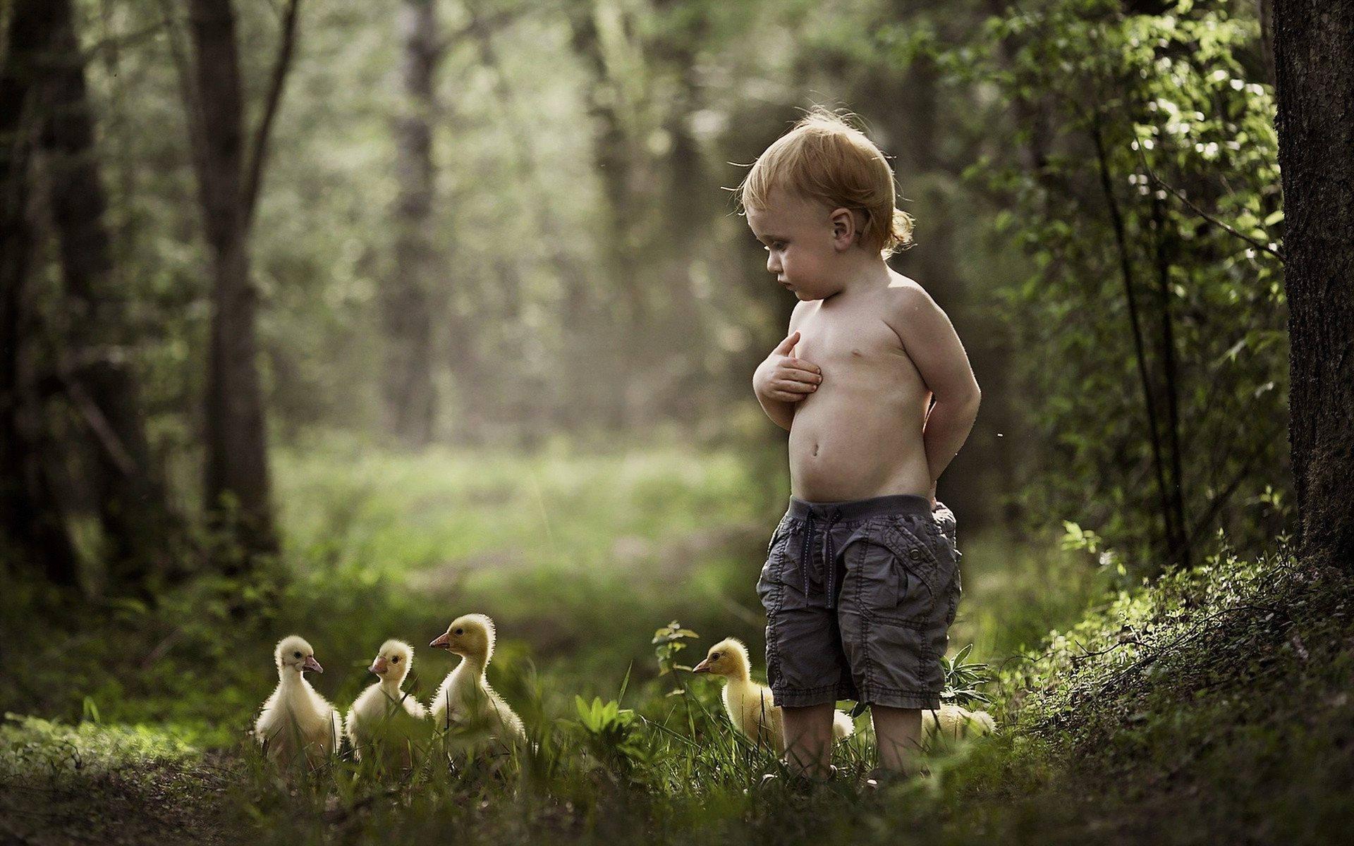 Baby Boy With Ducklings — 1920x1200 wallpaper