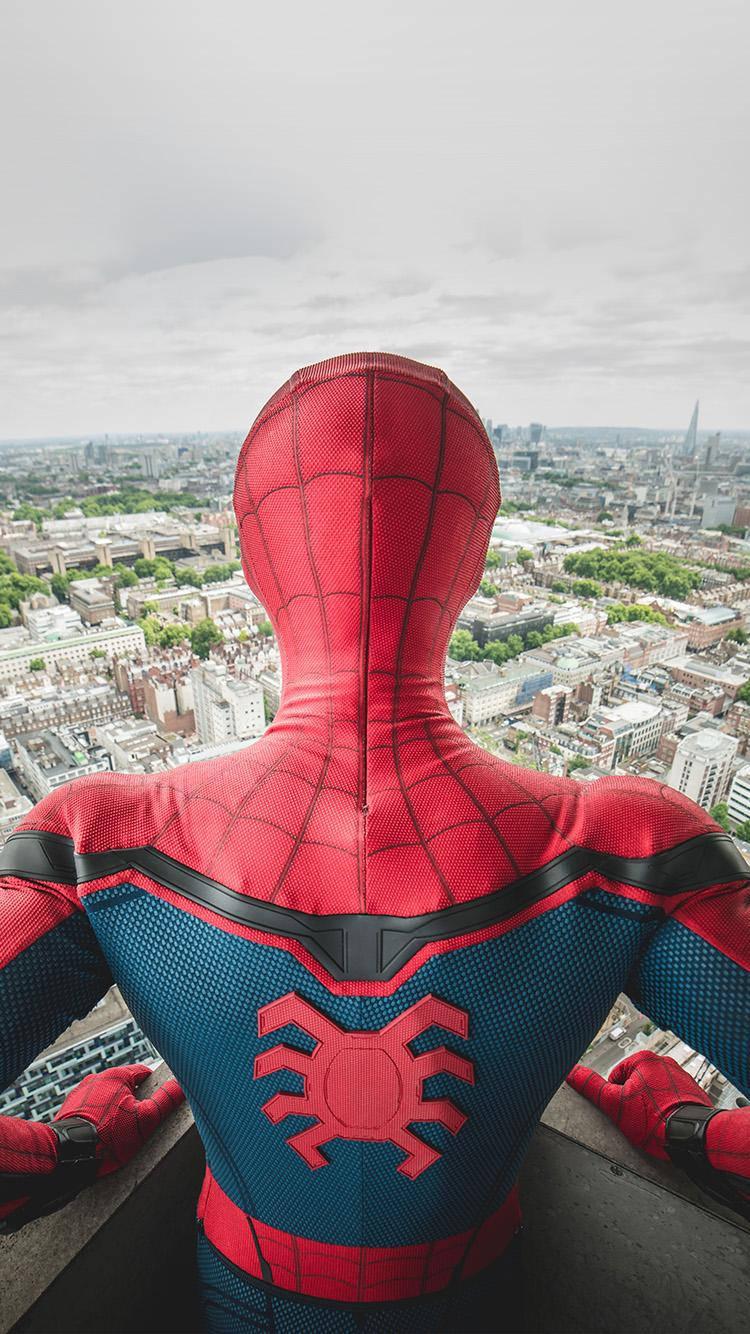 Back View Spider Man Iphone — 750x1334 wallpaper