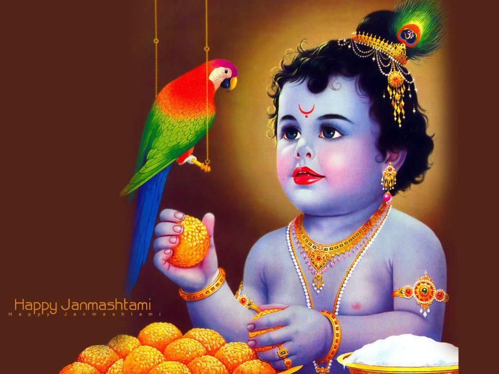 Bal Krishna With A Scarlet Macaw And Kadamba — 1024x768 wallpaper
