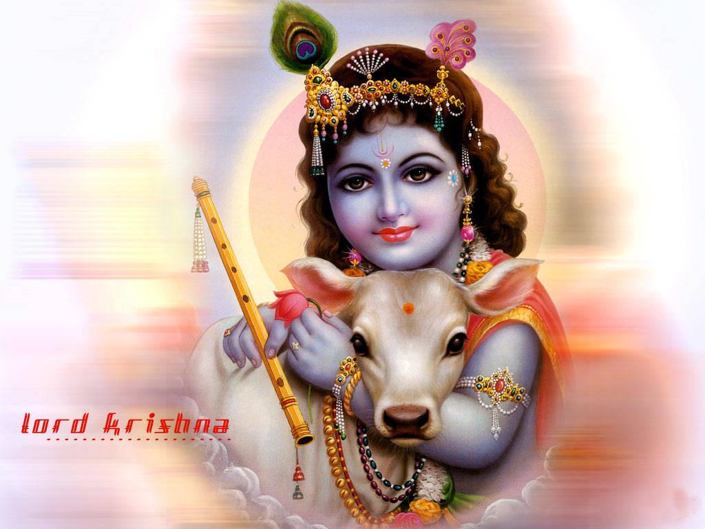 Bal Krishna With Flute While Hugging A Calf — 1024x768 wallpaper