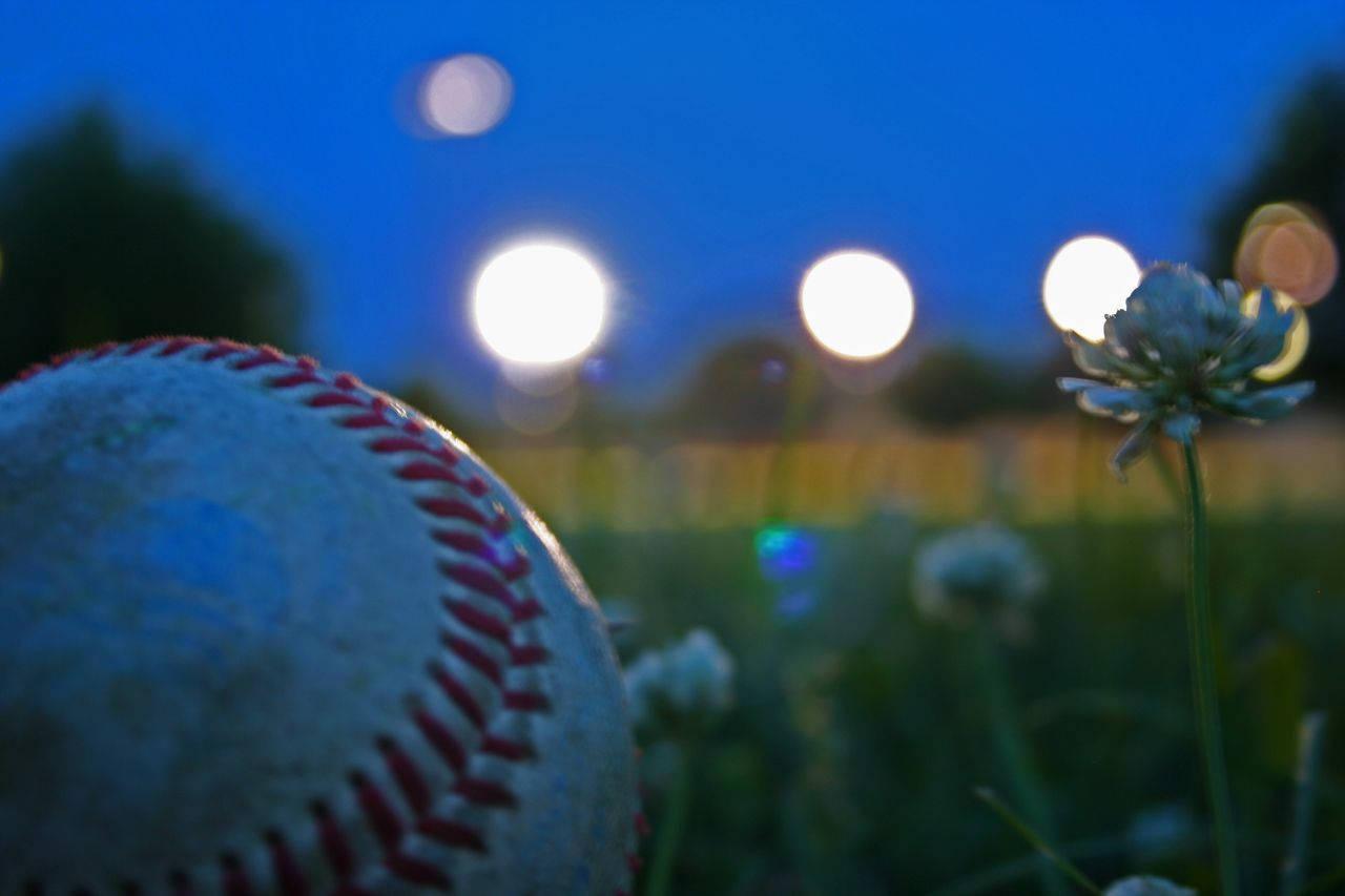 Baseball In The Field — 1280x853 wallpaper