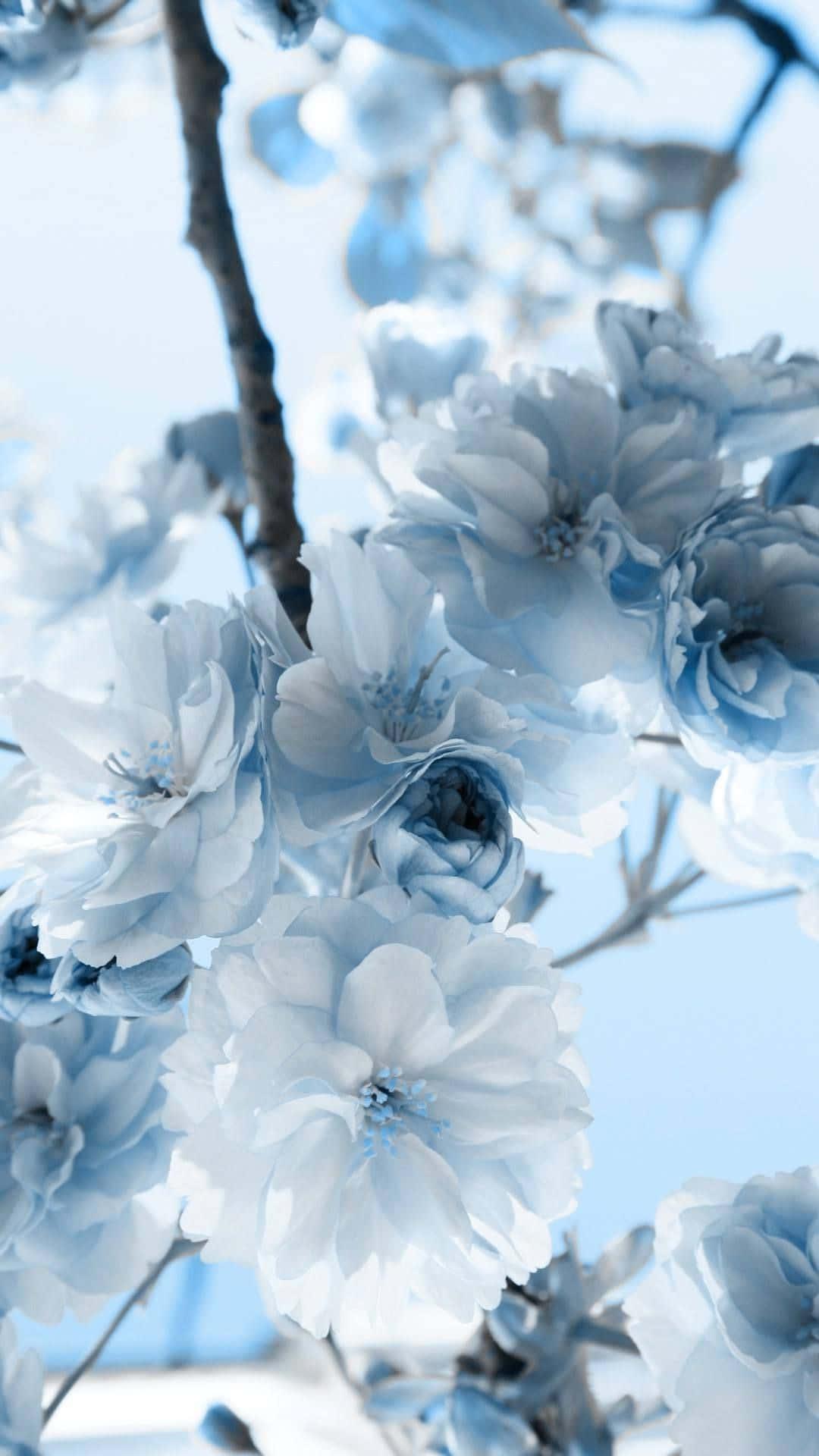 Be Natural, Be Blue Aesthetic — 1080x1920 wallpaper