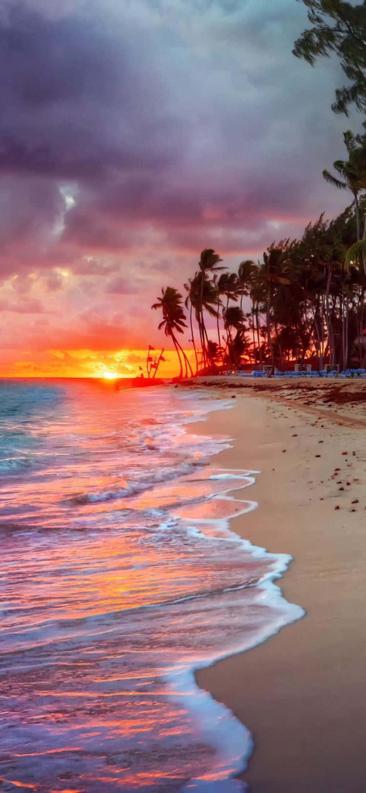 Beautiful Beach During Sunset Picture — 750x1625 wallpaper