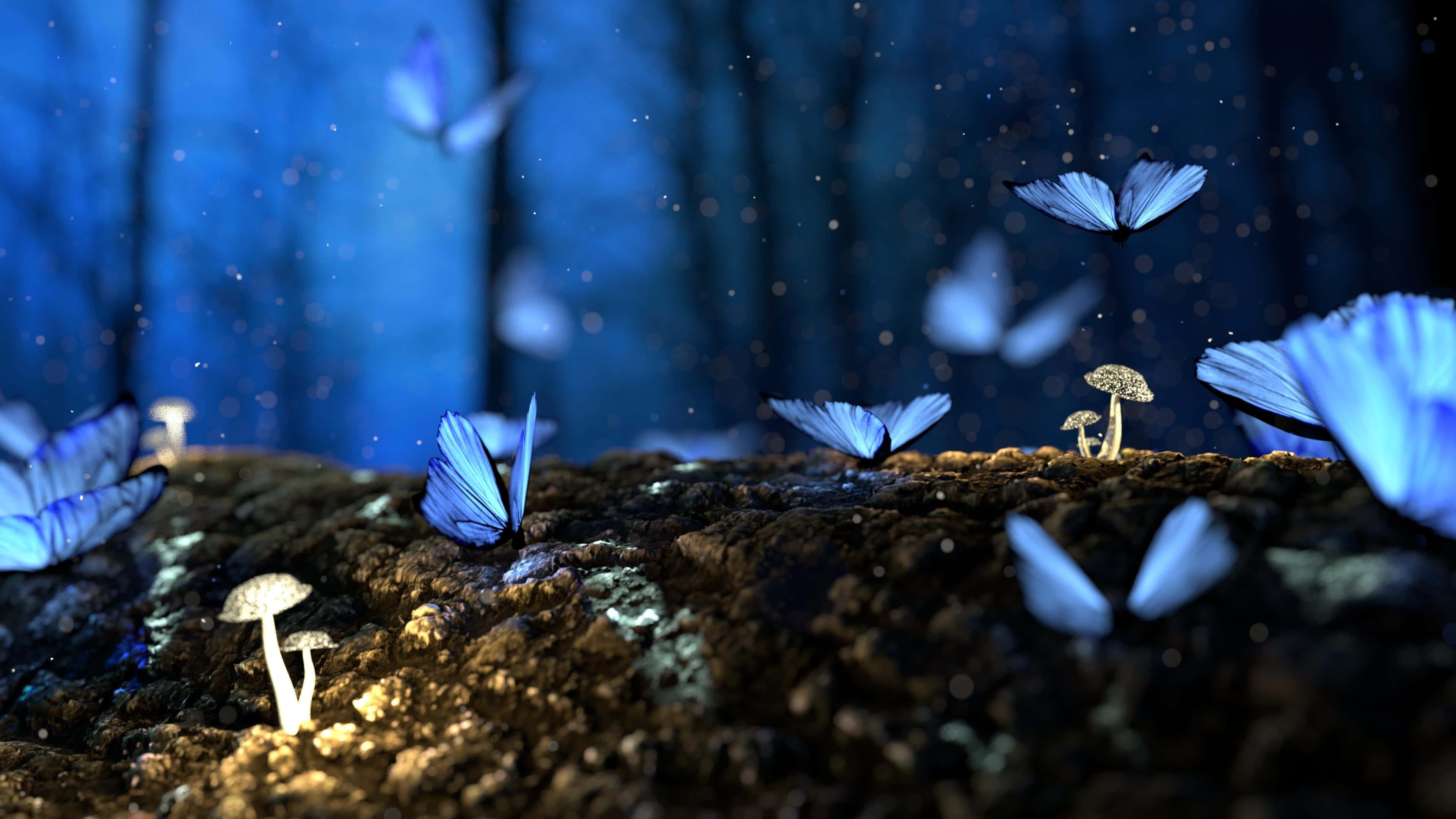 Beautiful Blue Butterflies Picture — 3840x2160 wallpaper