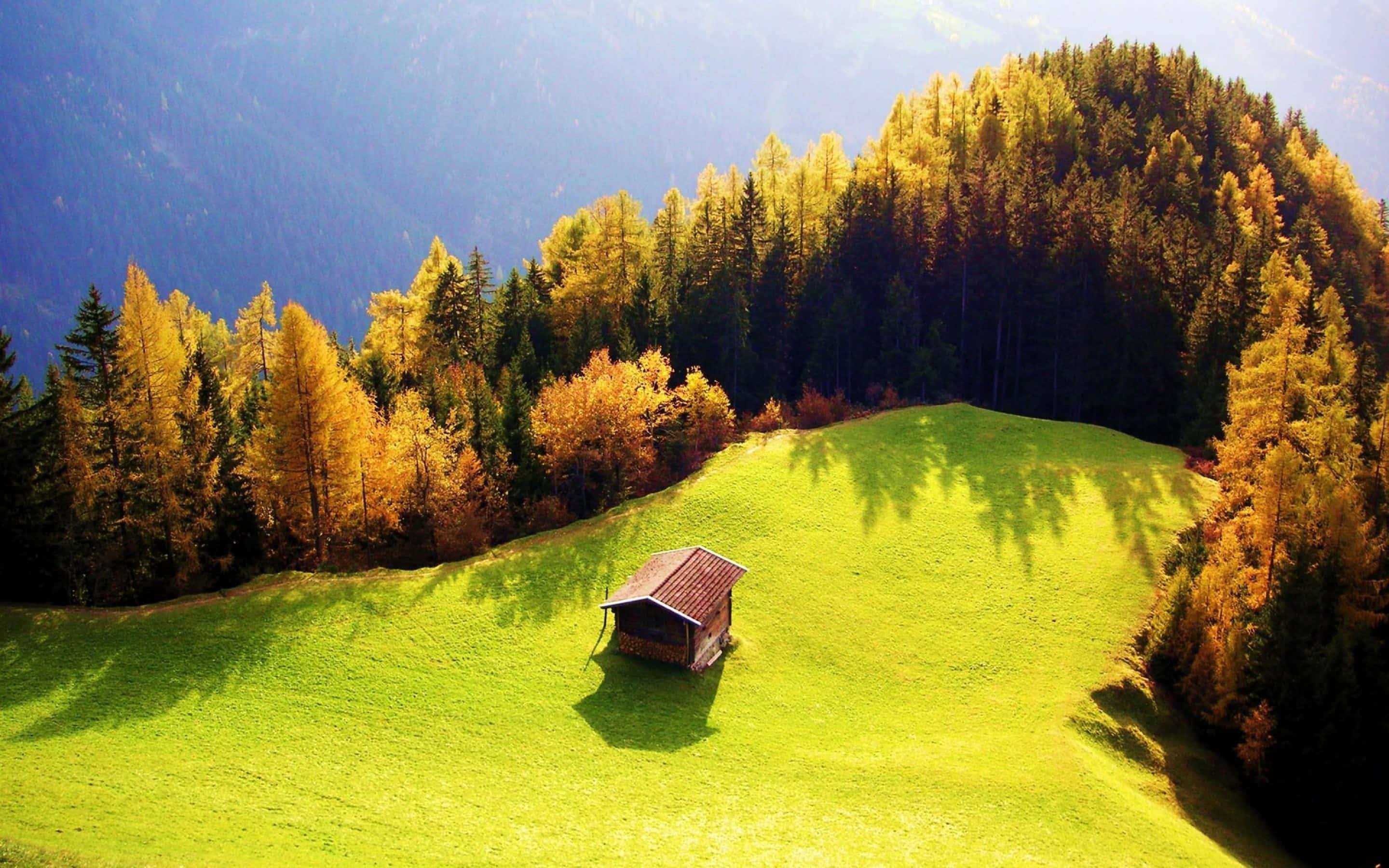 Beautiful Cabin In Mountain Picture — 2880x1800 wallpaper