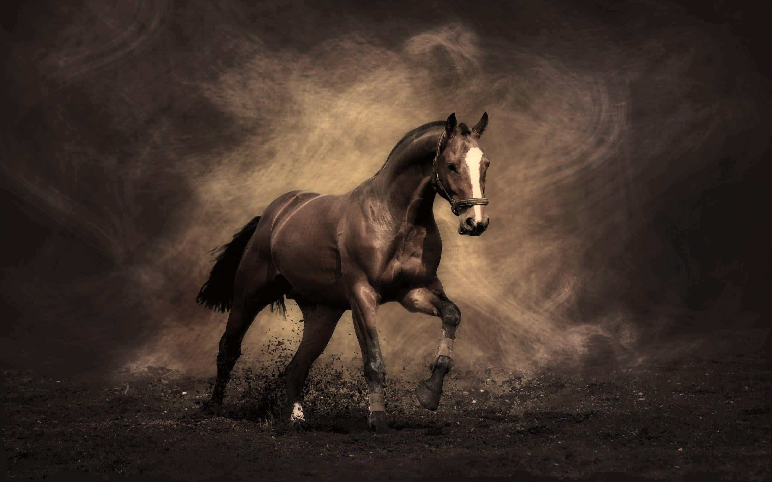 Beautiful Horse Standing on a Grass Field — 2560x1600 wallpaper
