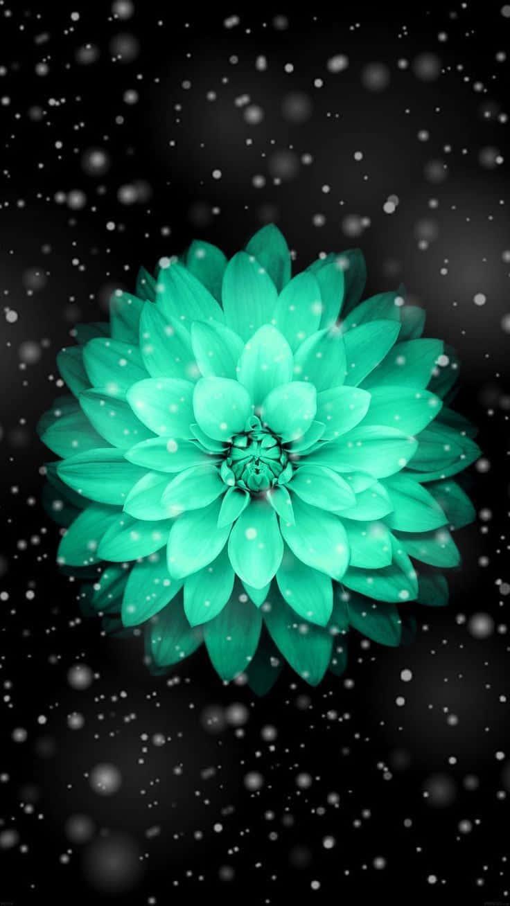 Beautiful intricately designed smartphone for the modern user. — 736x1308 wallpaper