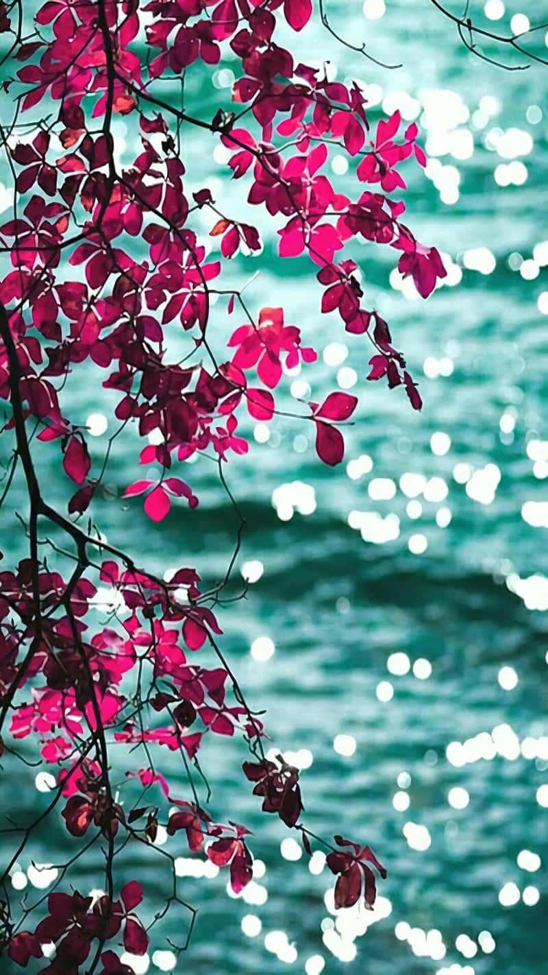 Beautiful Pink Leaves Picture — 800x1422 wallpaper