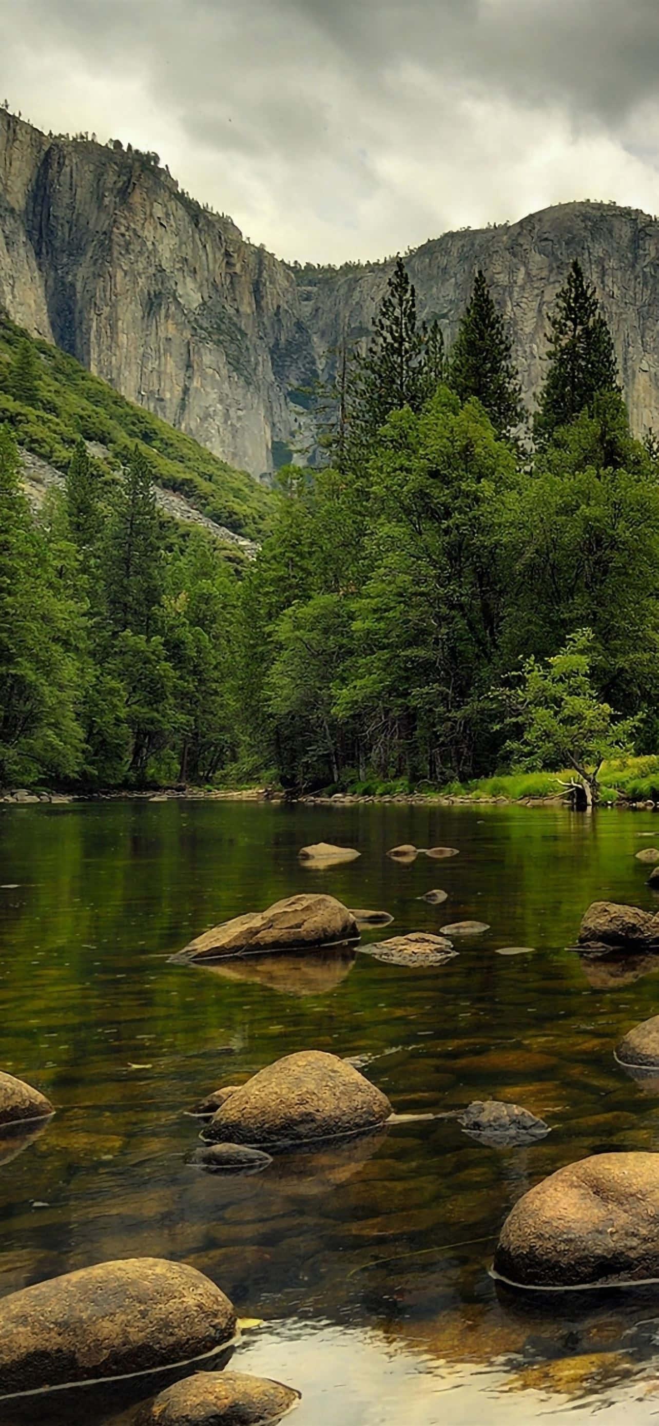 Beautiful Serenity Picture — 1284x2778 wallpaper