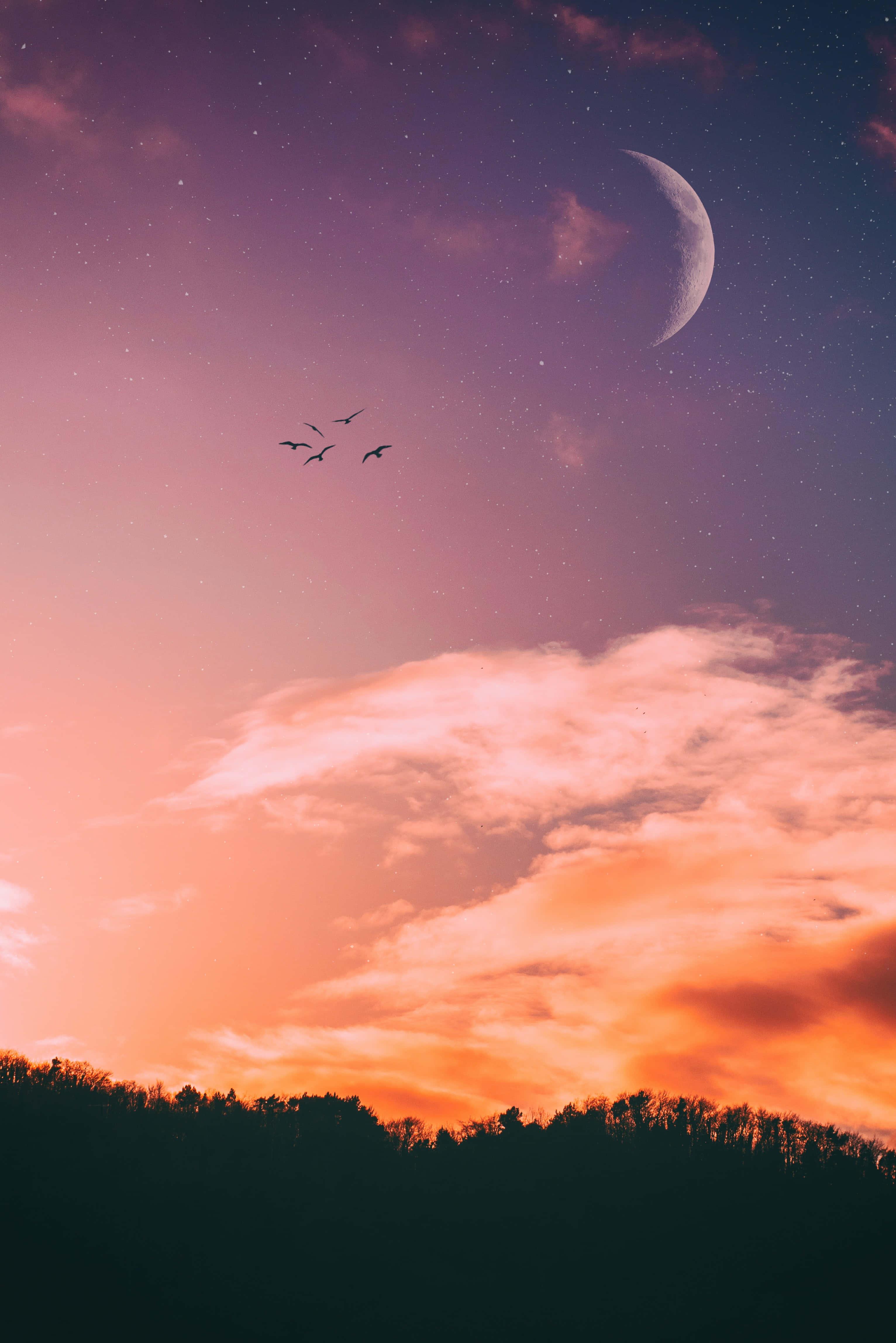 Beautiful Sunset Sky Picture — 3064x4592 wallpaper