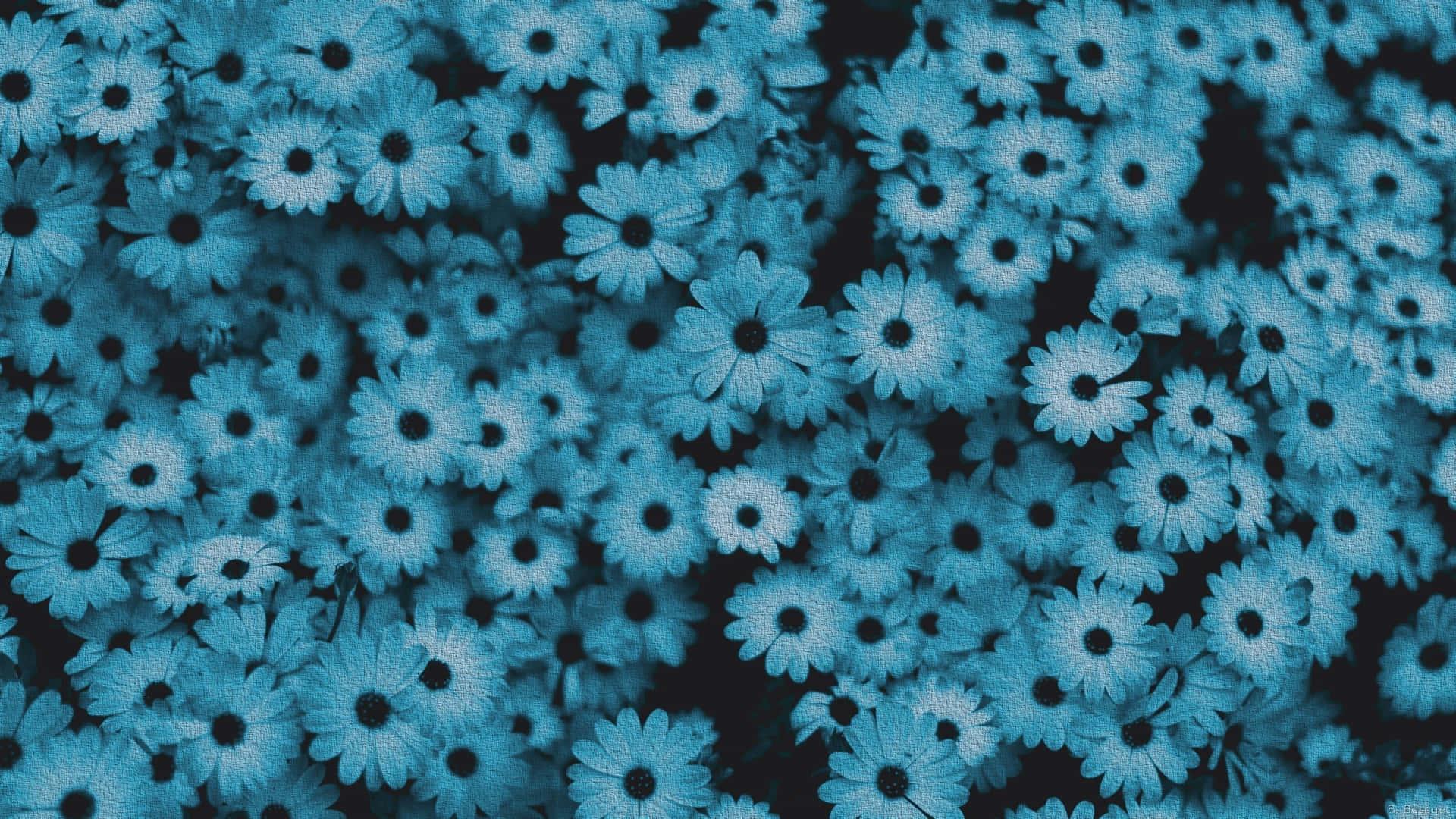 Beauty in Blue Aesthetic — 1920x1080 wallpaper