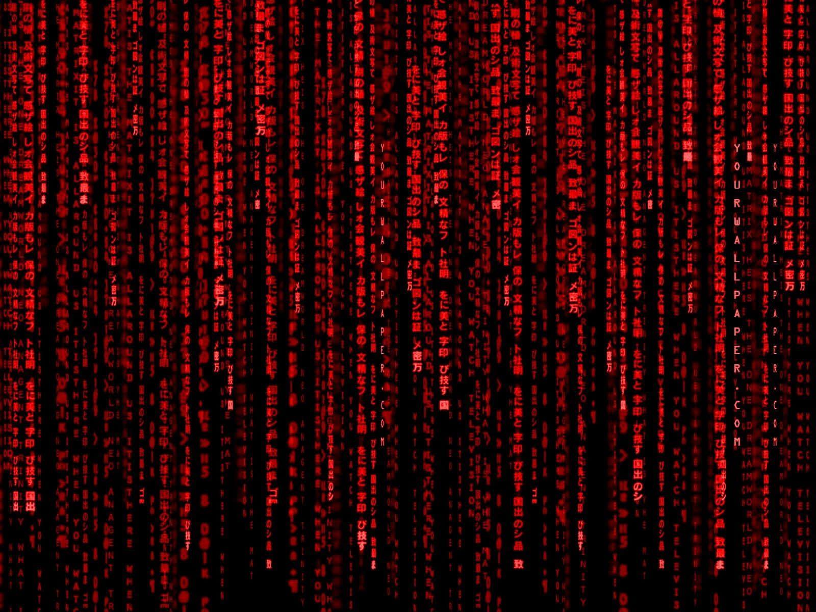 Behind Every Great Hacker is an Even Greater Source of Knowledge — 1600x1200 wallpaper