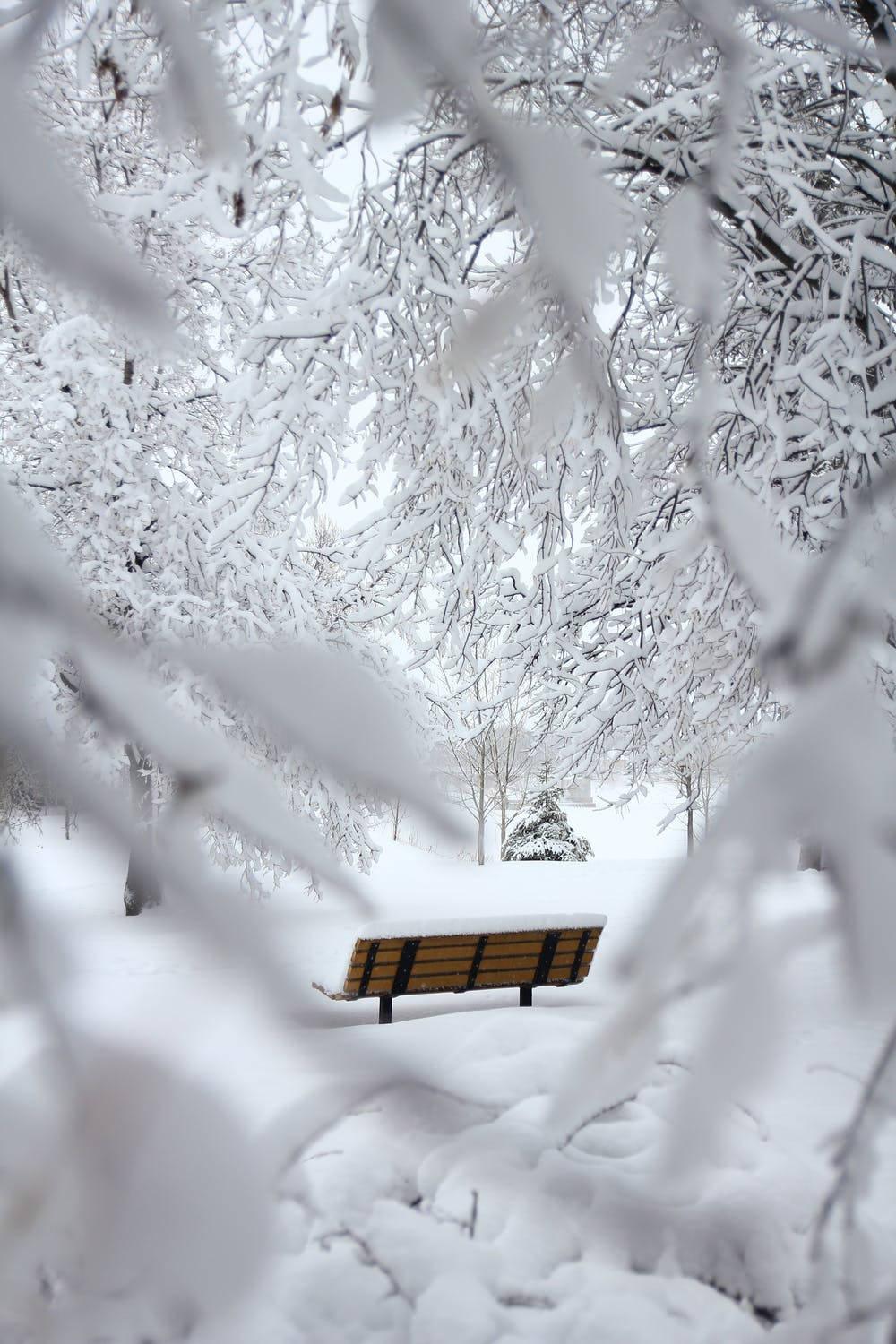 Bench In Snow Winter iPhone — 1000x1500 wallpaper