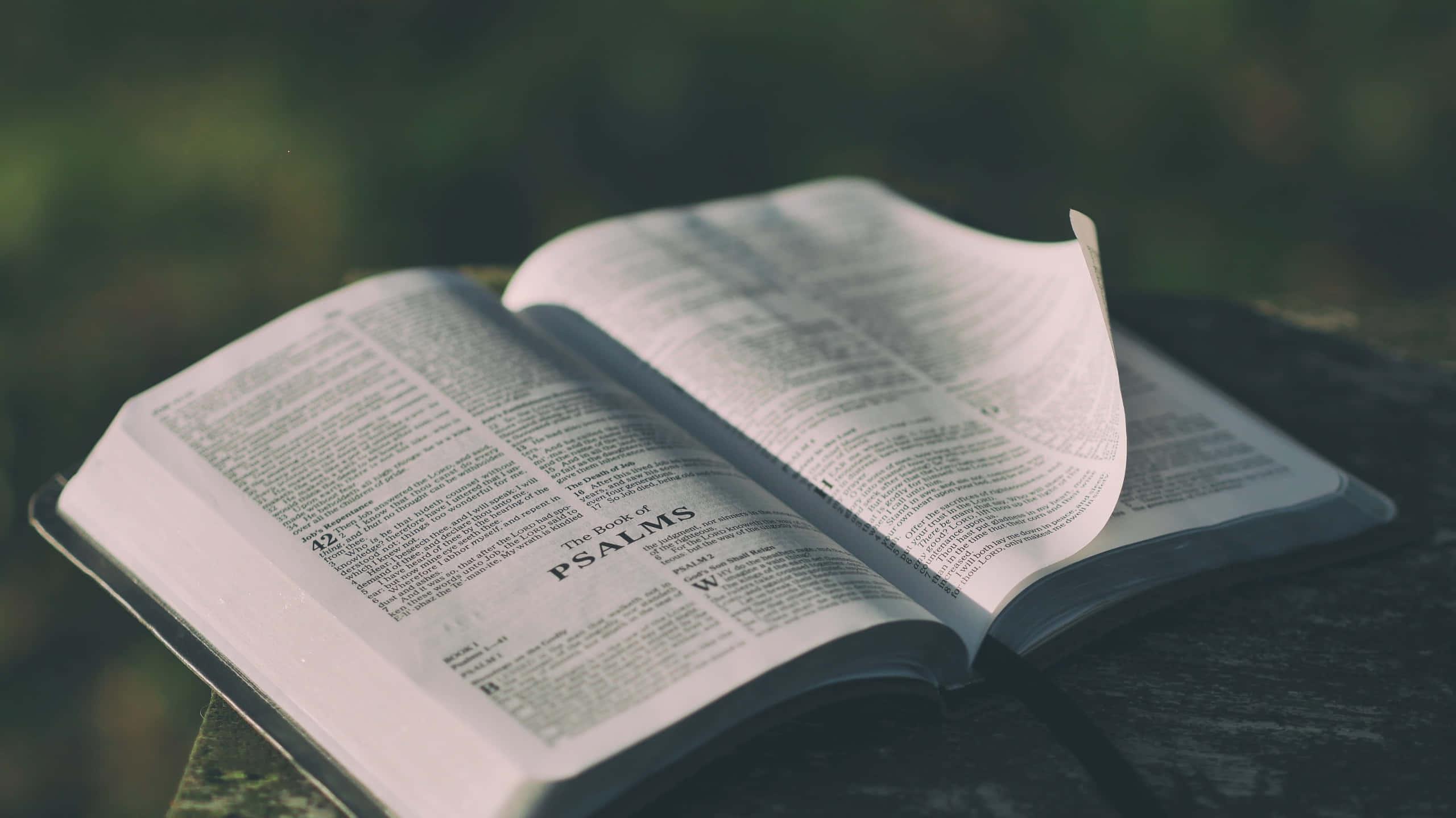 Bible Background — 2560x1440 wallpaper