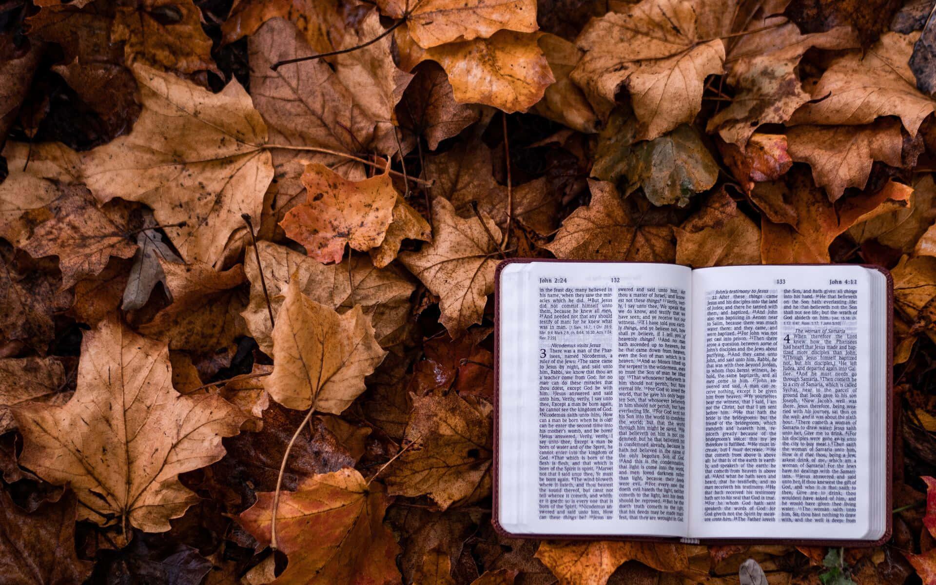 Bible Background — 1920x1200 wallpaper