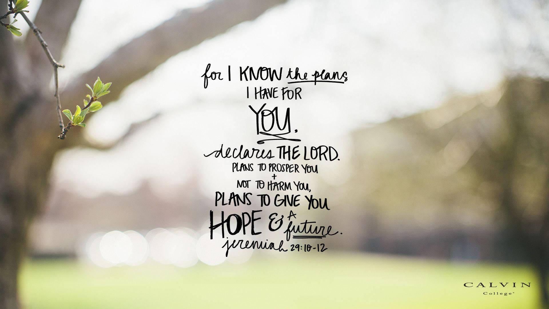 Bible Verse Jeremiah 29:11 — 1920x1080 wallpaper