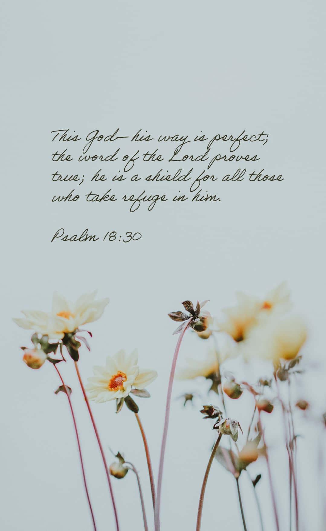 Bible Verse Phone Psalm 16 — 1079x1757 wallpaper