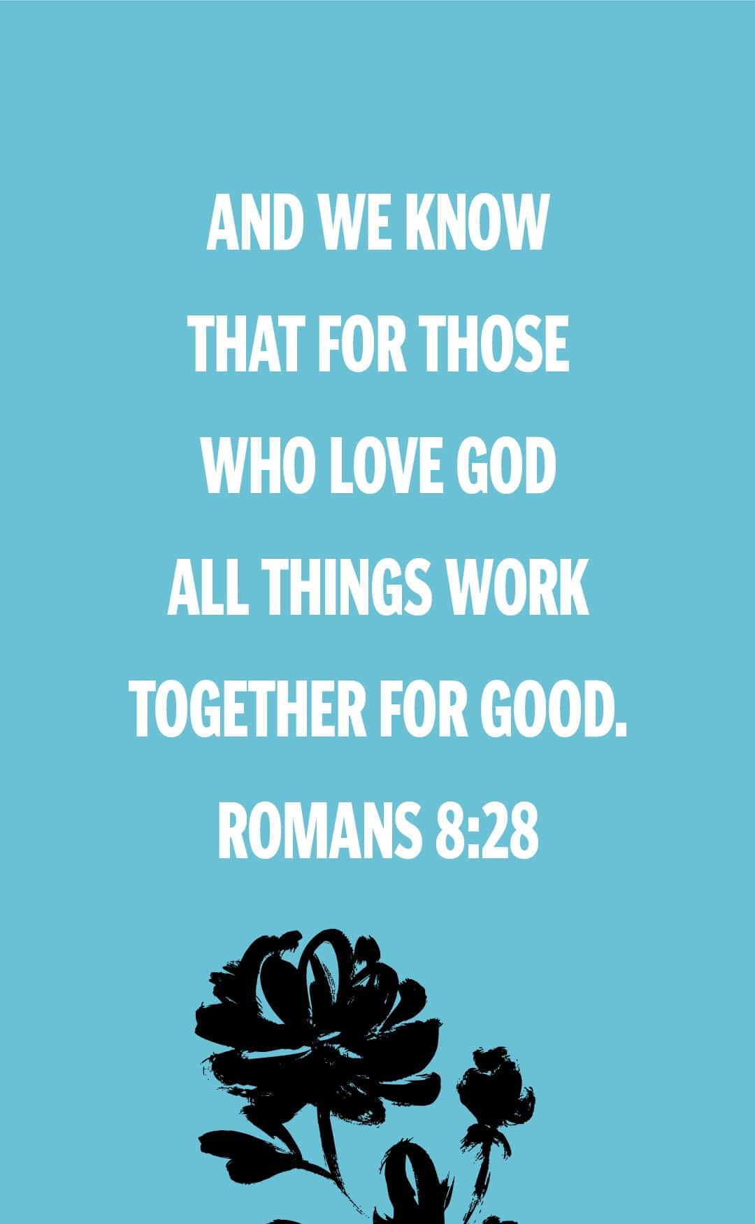 Bible Verse Phone Romans — 1080x1750 wallpaper