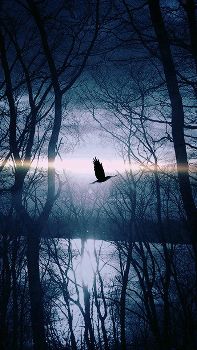 Bird Flying iPhone Dark — 640x1136 wallpaper