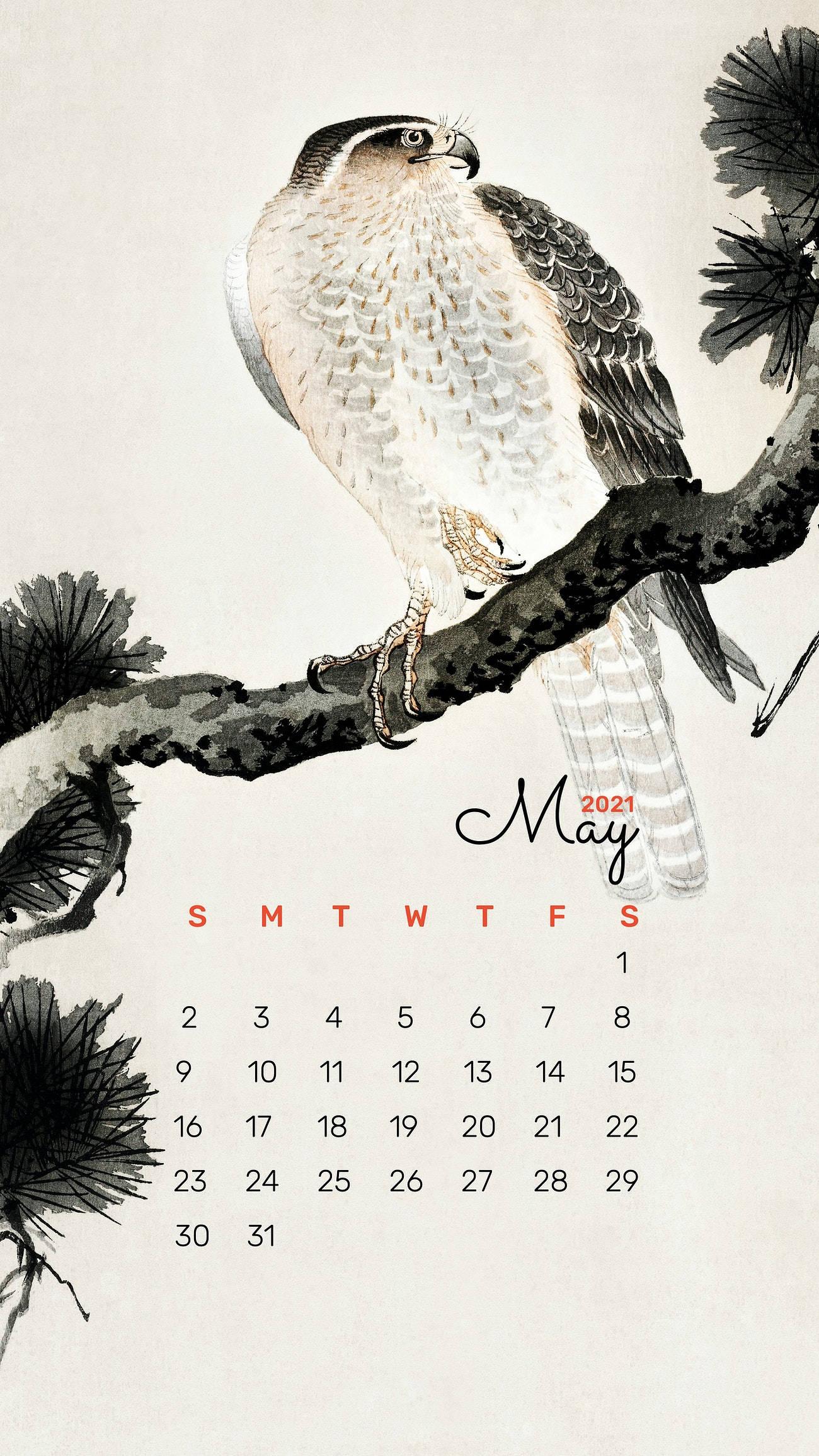 Bird Painting May Calendar 2021 — 1300x2311 wallpaper