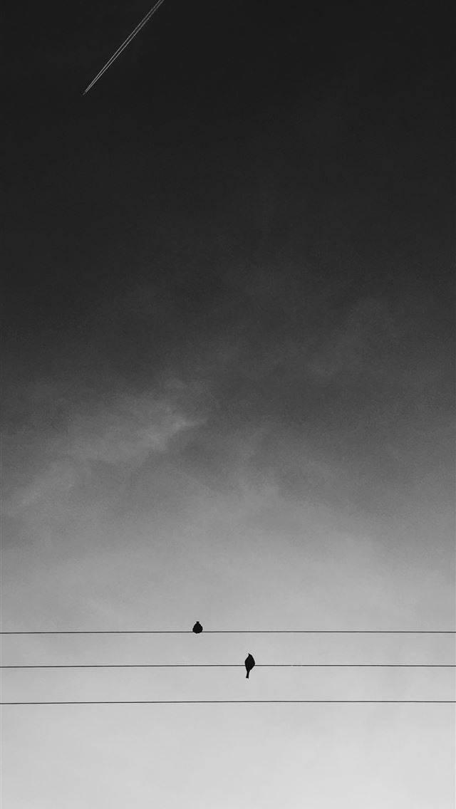 Birds On Line iPhone Dark — 640x1136 wallpaper