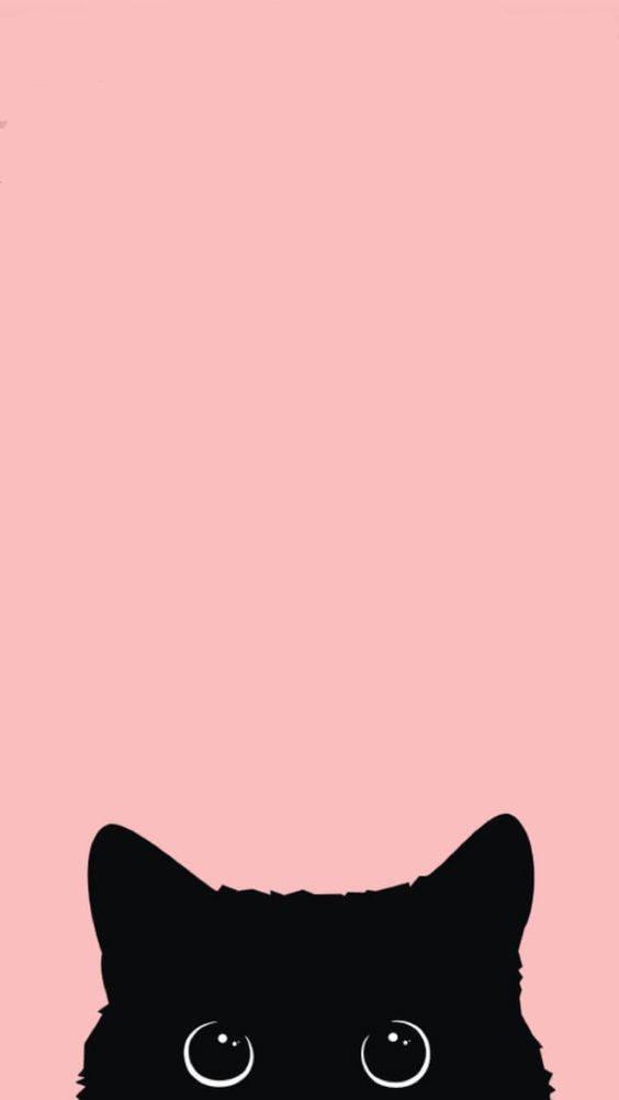Black Cat iPhone 12 — 564x1003 wallpaper
