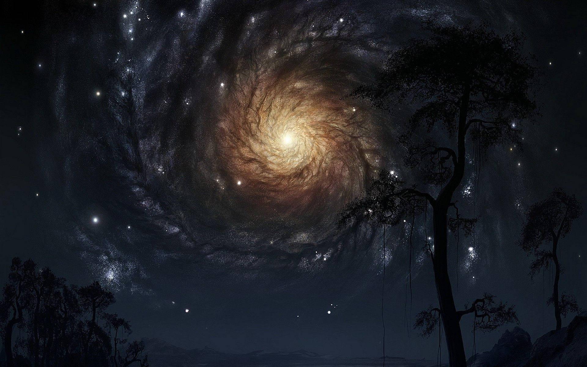 Black Hole Forrest Night Sky — 1920x1200 wallpaper