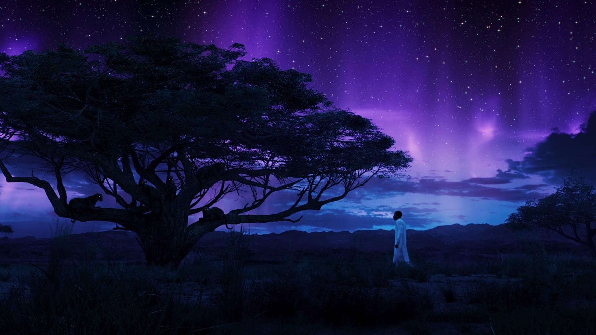 Black Panther Aurora Lights — 1920x1080 wallpaper