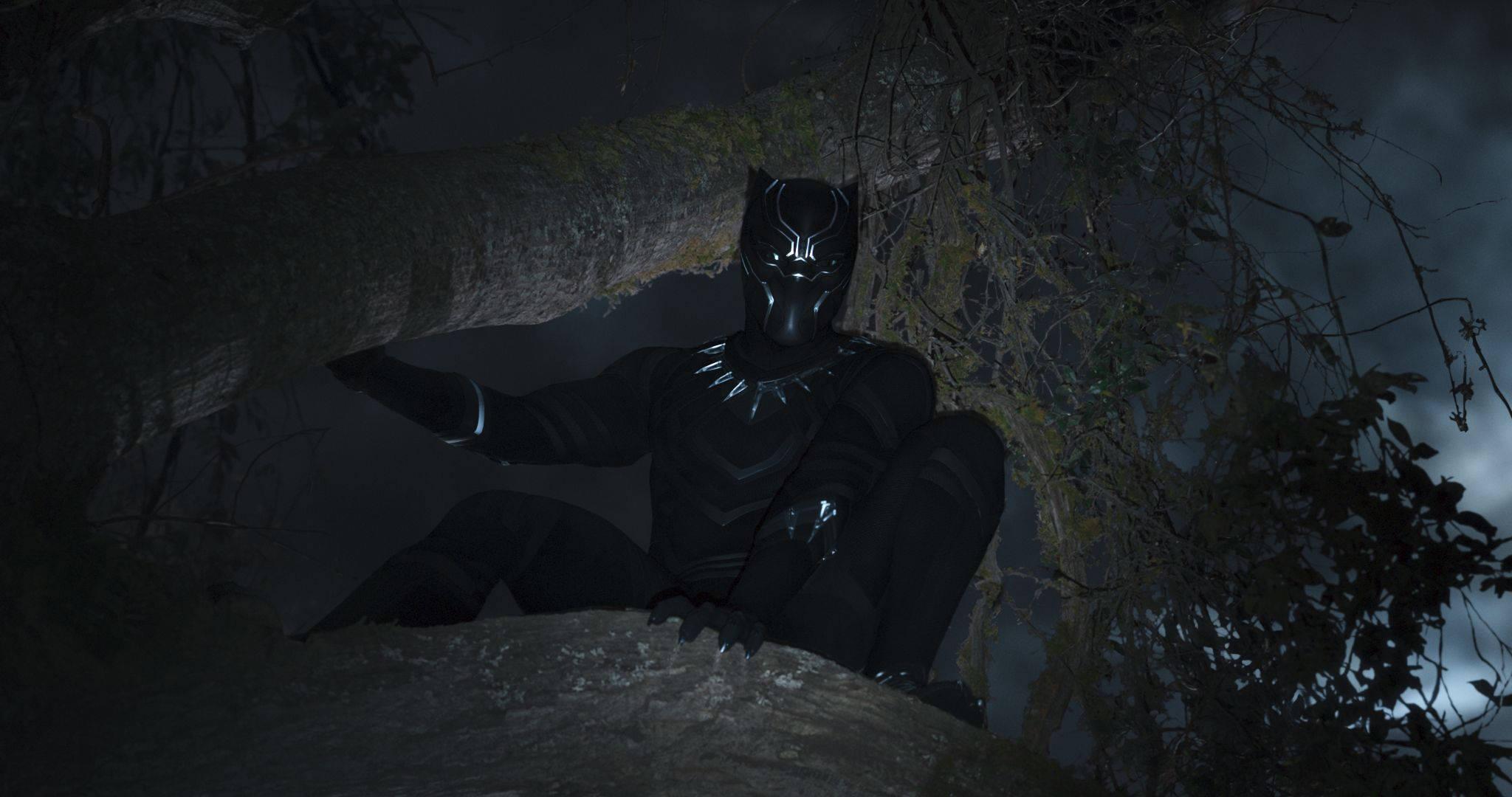Black Panther Dark Forest — 2048x1080 wallpaper