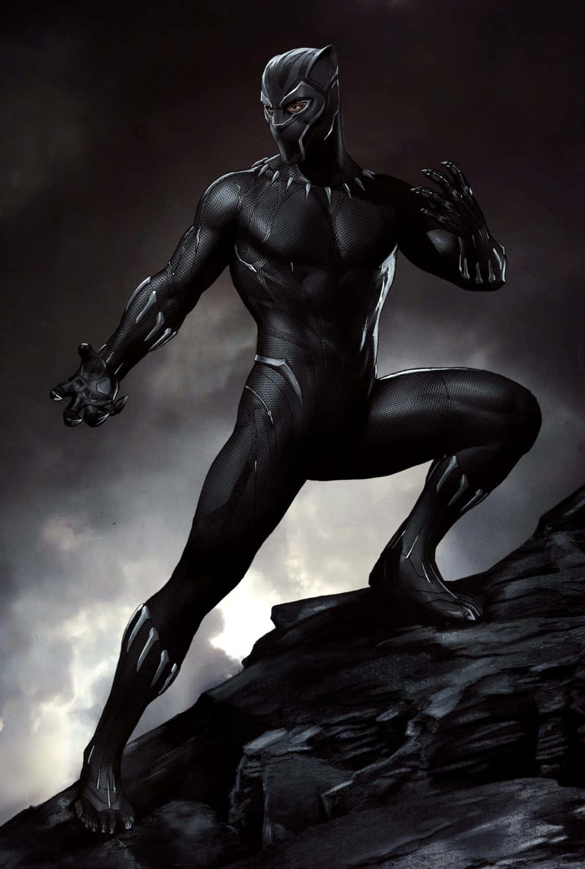 Black Panther pictures — 1144x1700 wallpaper
