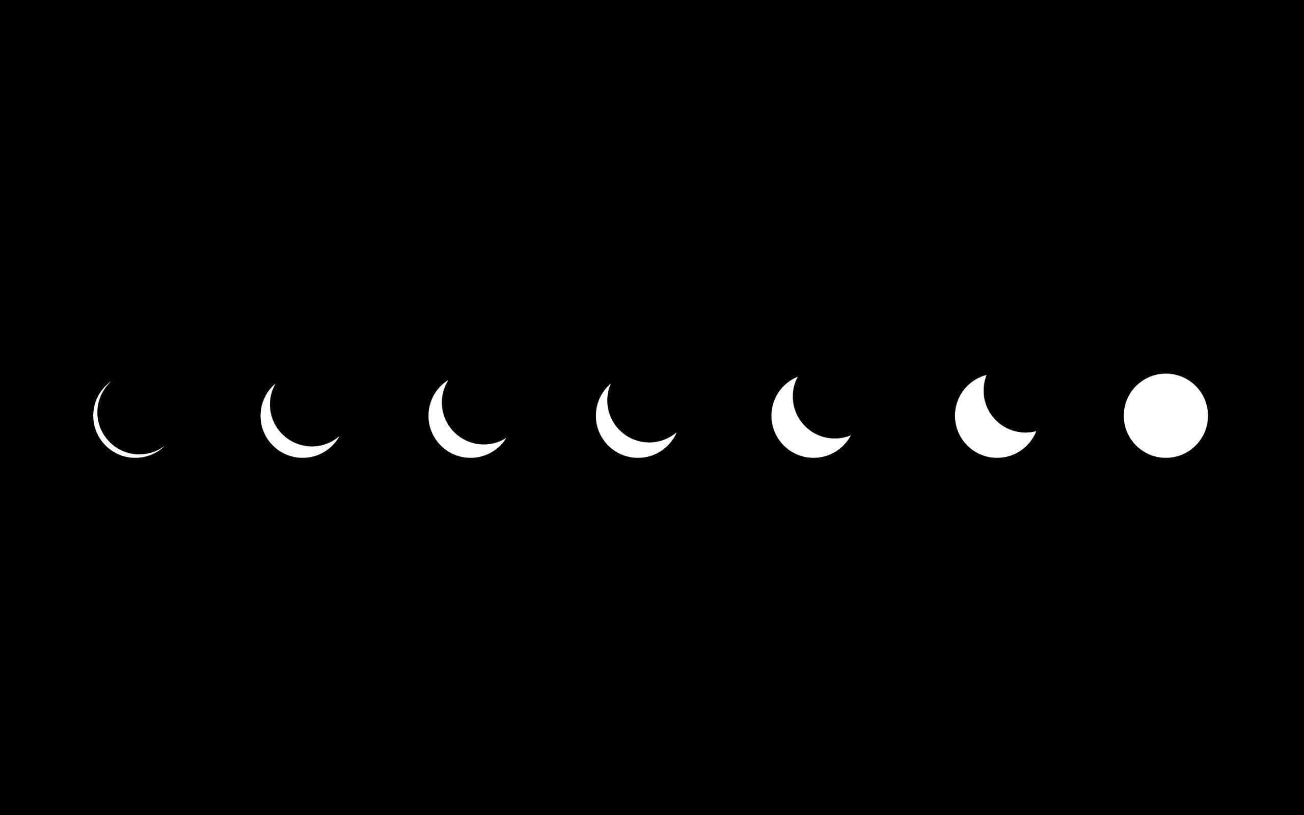 Black Screen Background — 2560x1600 wallpaper