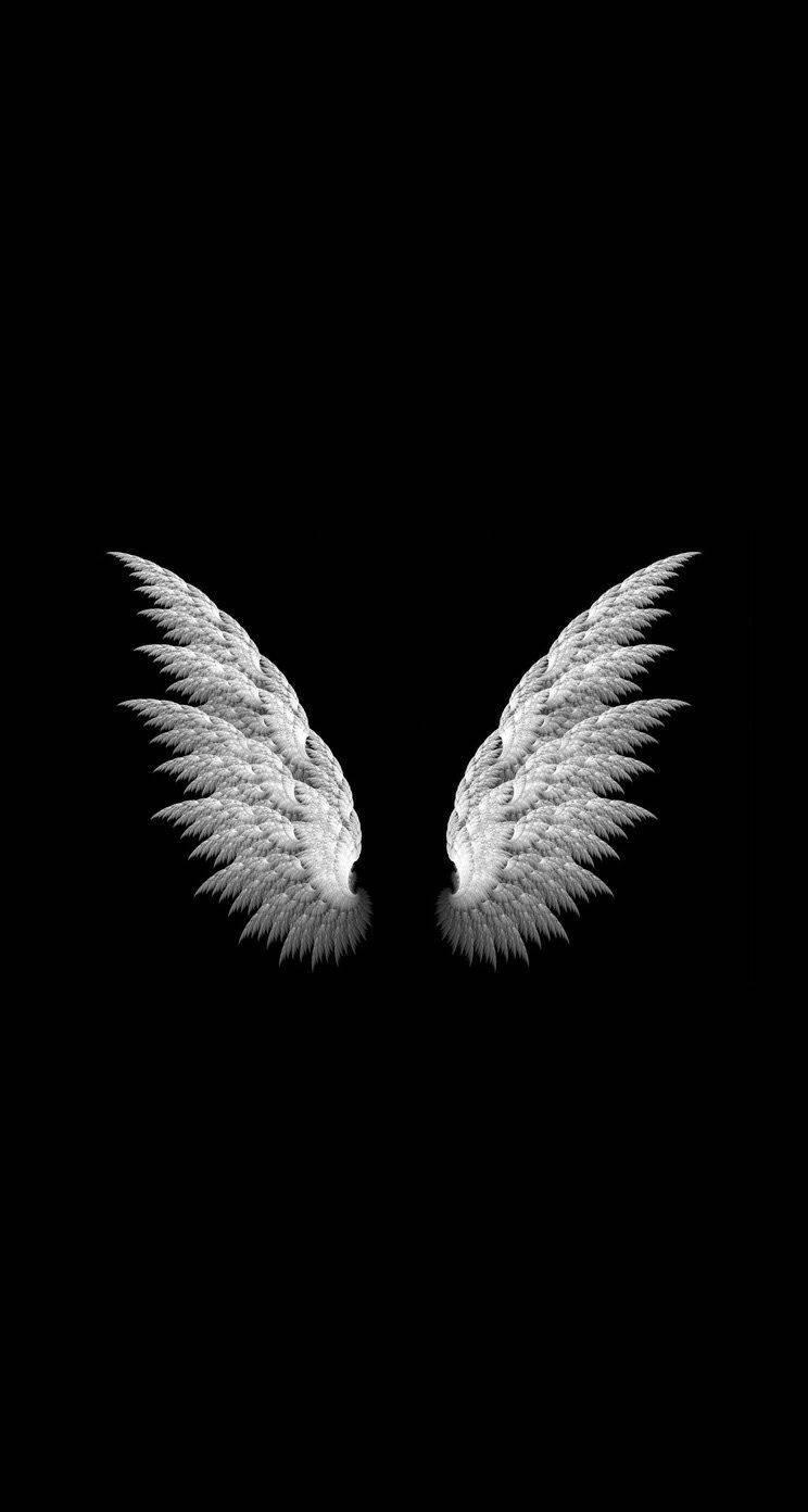 Black Wings Cell Phone Image — 744x1392 wallpaper