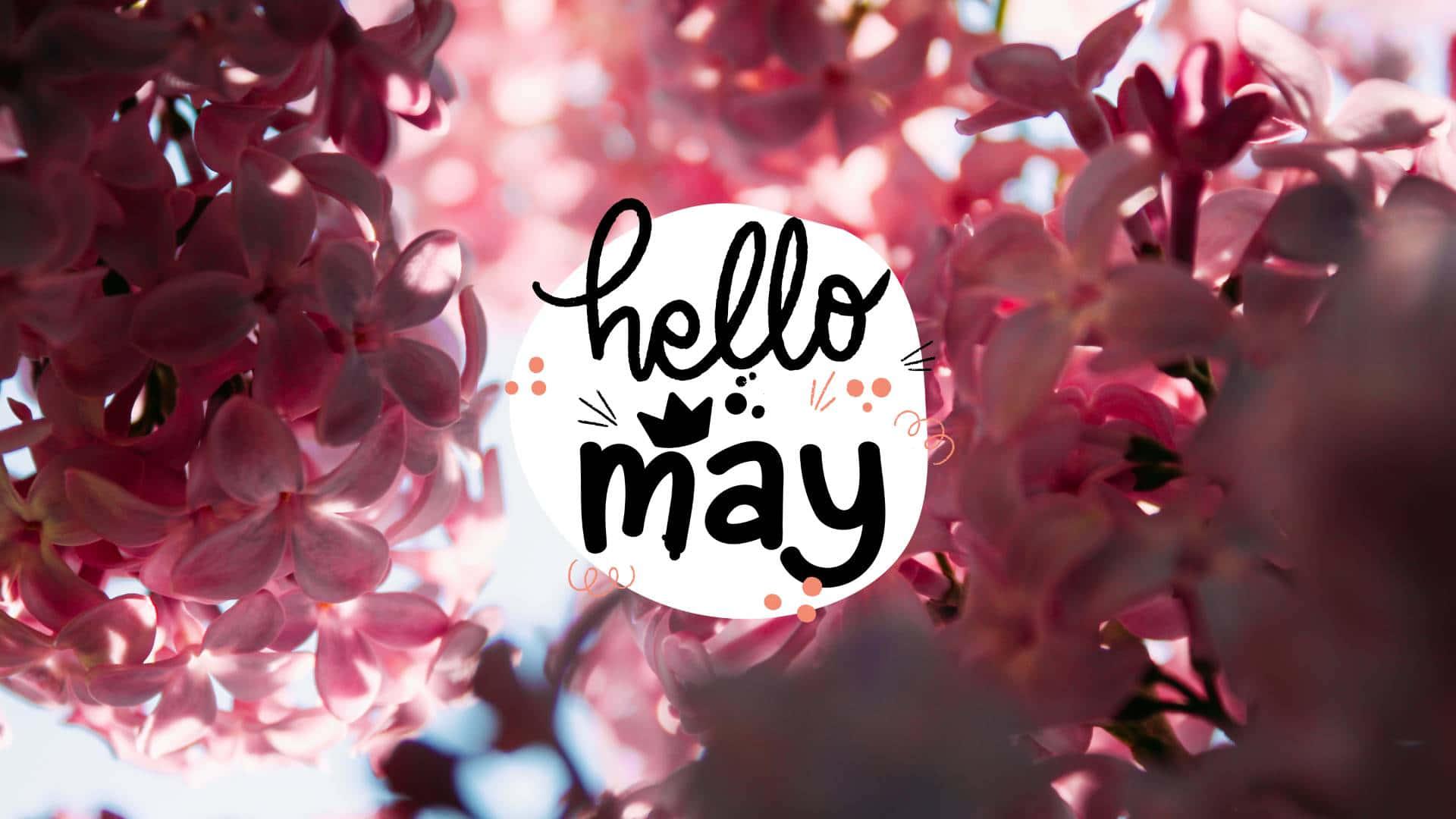 Blooming into May — 1920x1080 wallpaper