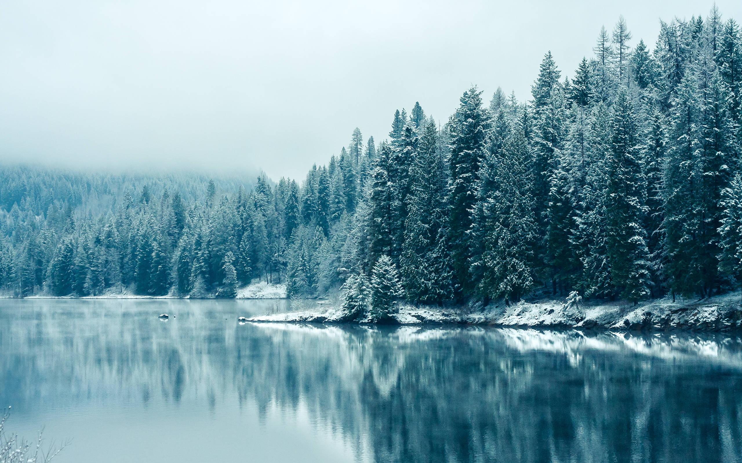 Blue Aesthetic Chromebook — 2560x1600 wallpaper